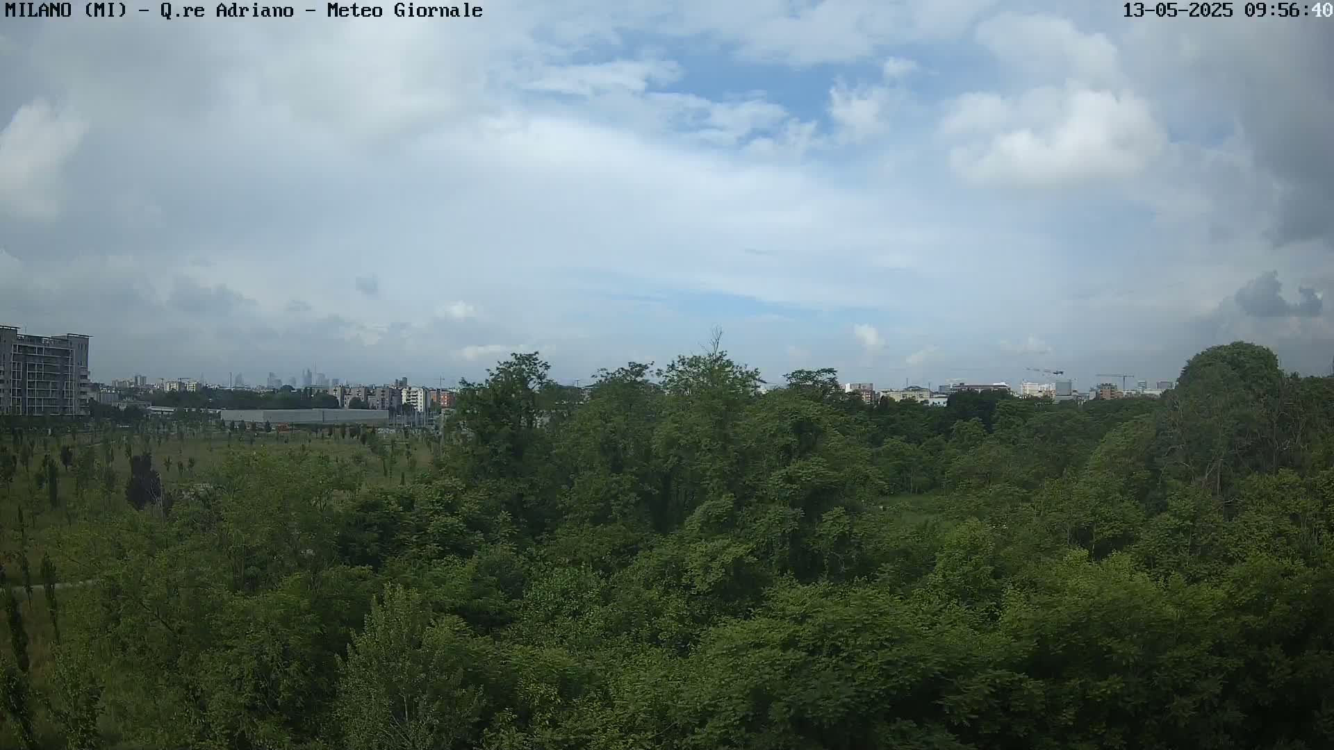 A mostly sunny sky with some clouds overlooks a dense green forest with a city skyline visible in the distance.