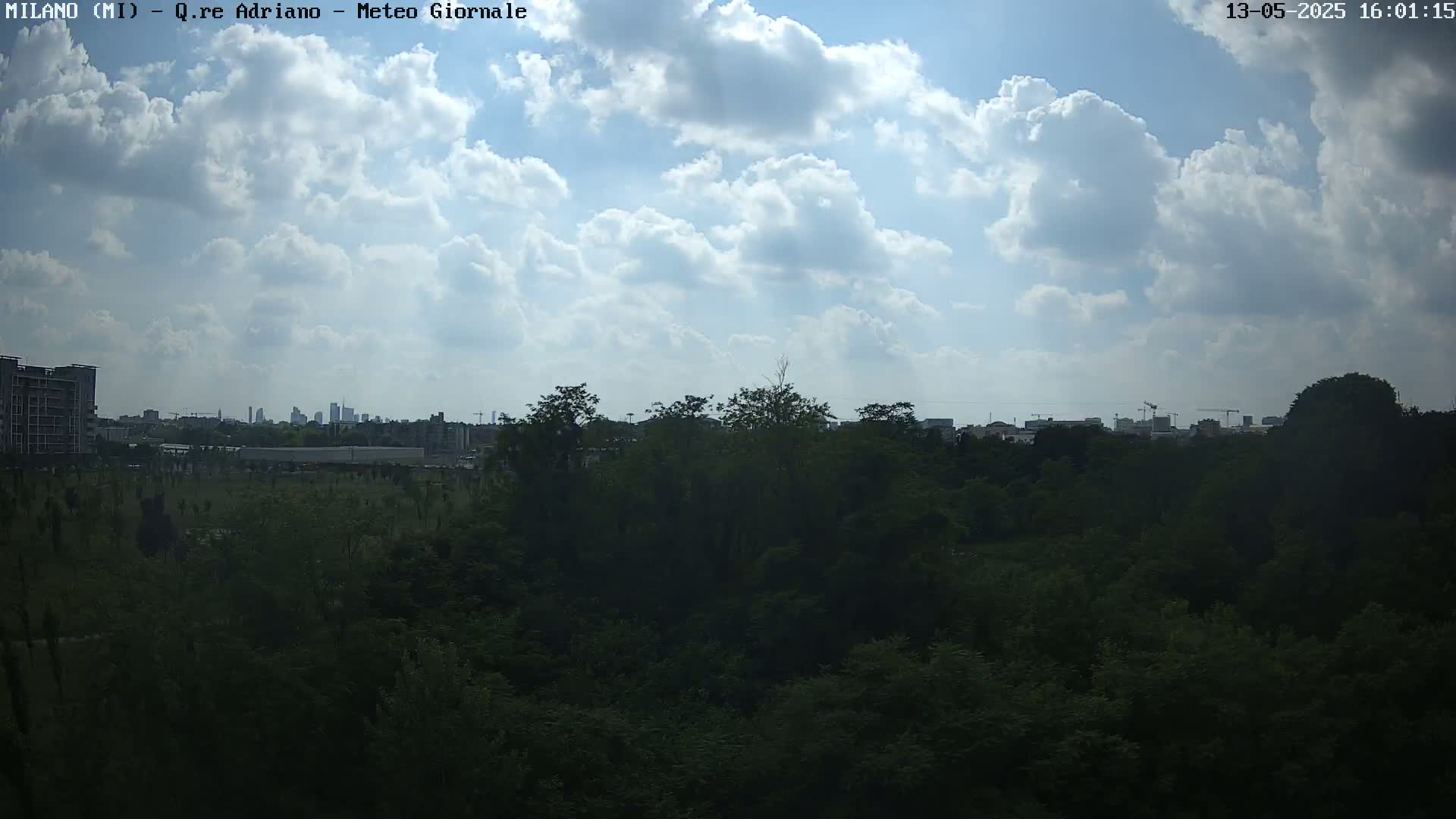 A partly cloudy sky overlooks a dark green expanse of trees and a distant city skyline.