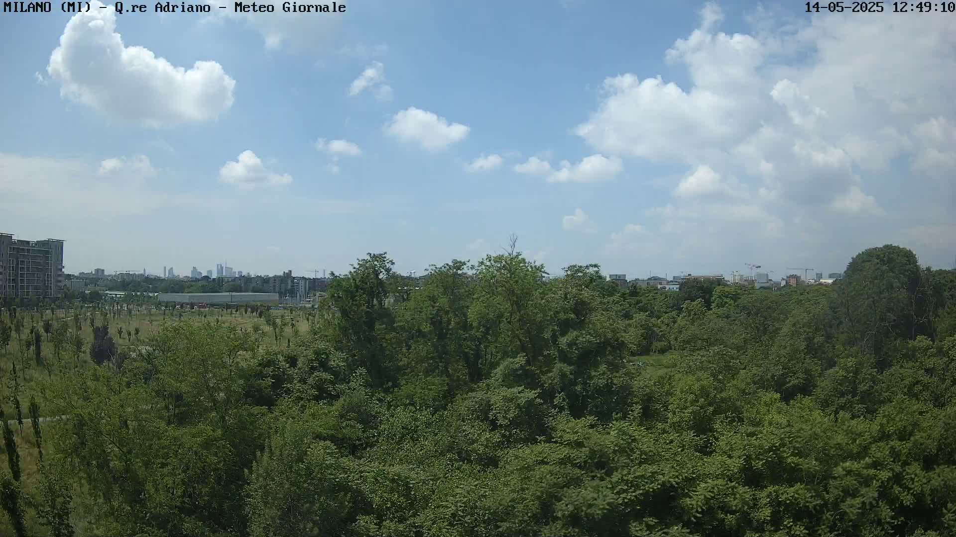A partly cloudy sky overlooks a lush green expanse of trees and vegetation, with a city skyline visible in the distance.