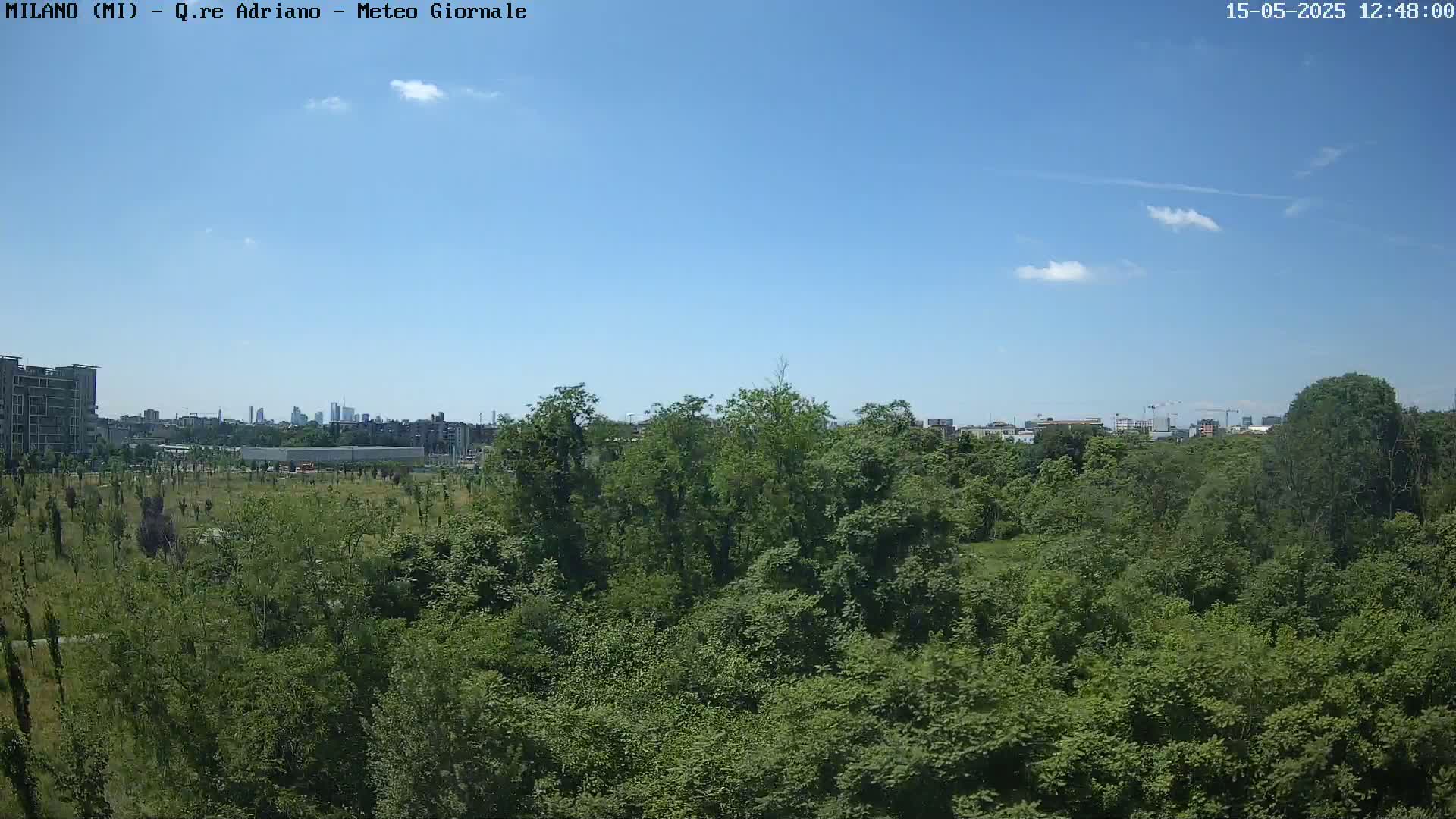 A lush green park with a cityscape and a mostly clear blue sky visible in the distance.