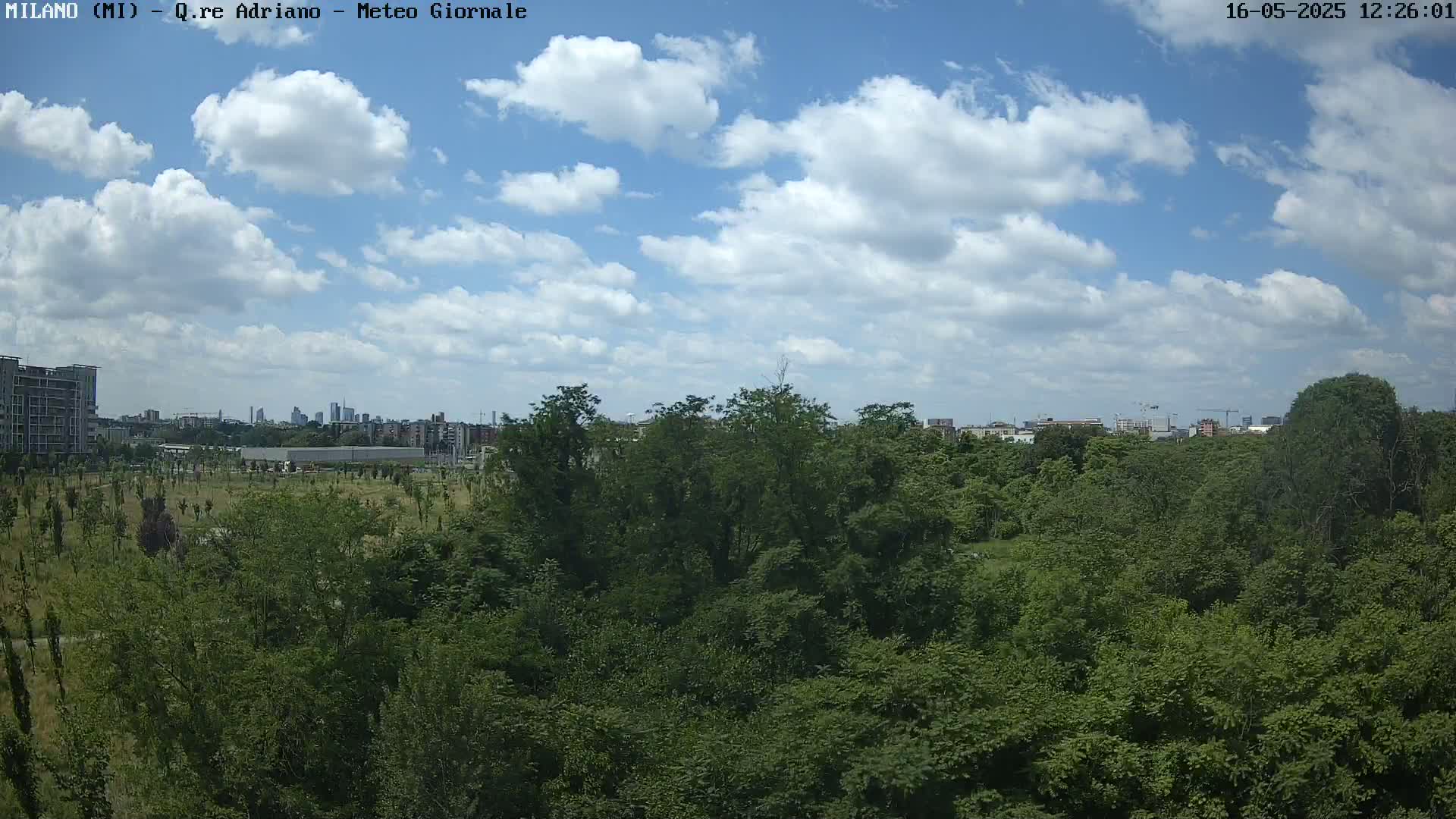 A view of a lush green park with a city skyline visible in the distance under a partly cloudy sky.