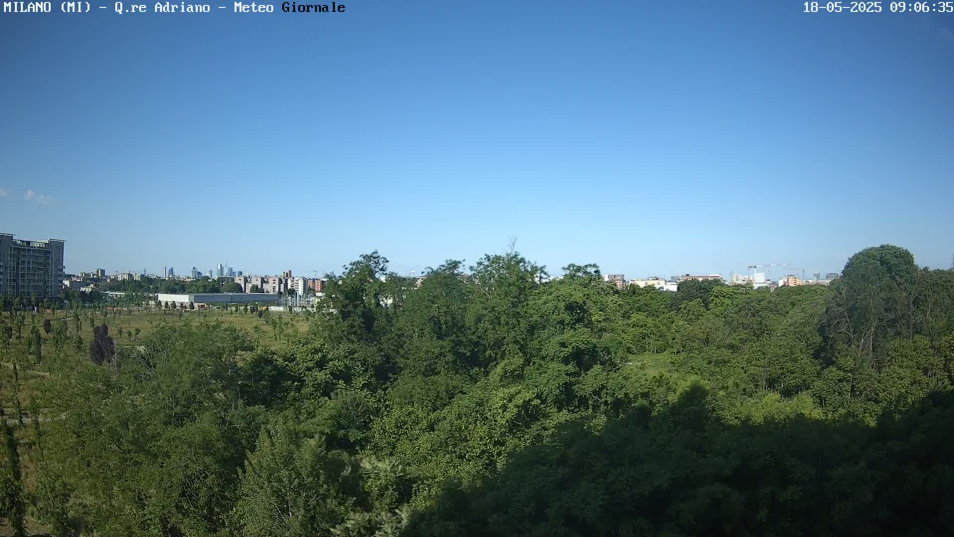 A lush green forest sits in the foreground, with a city skyline visible in the distance under a clear blue sky.