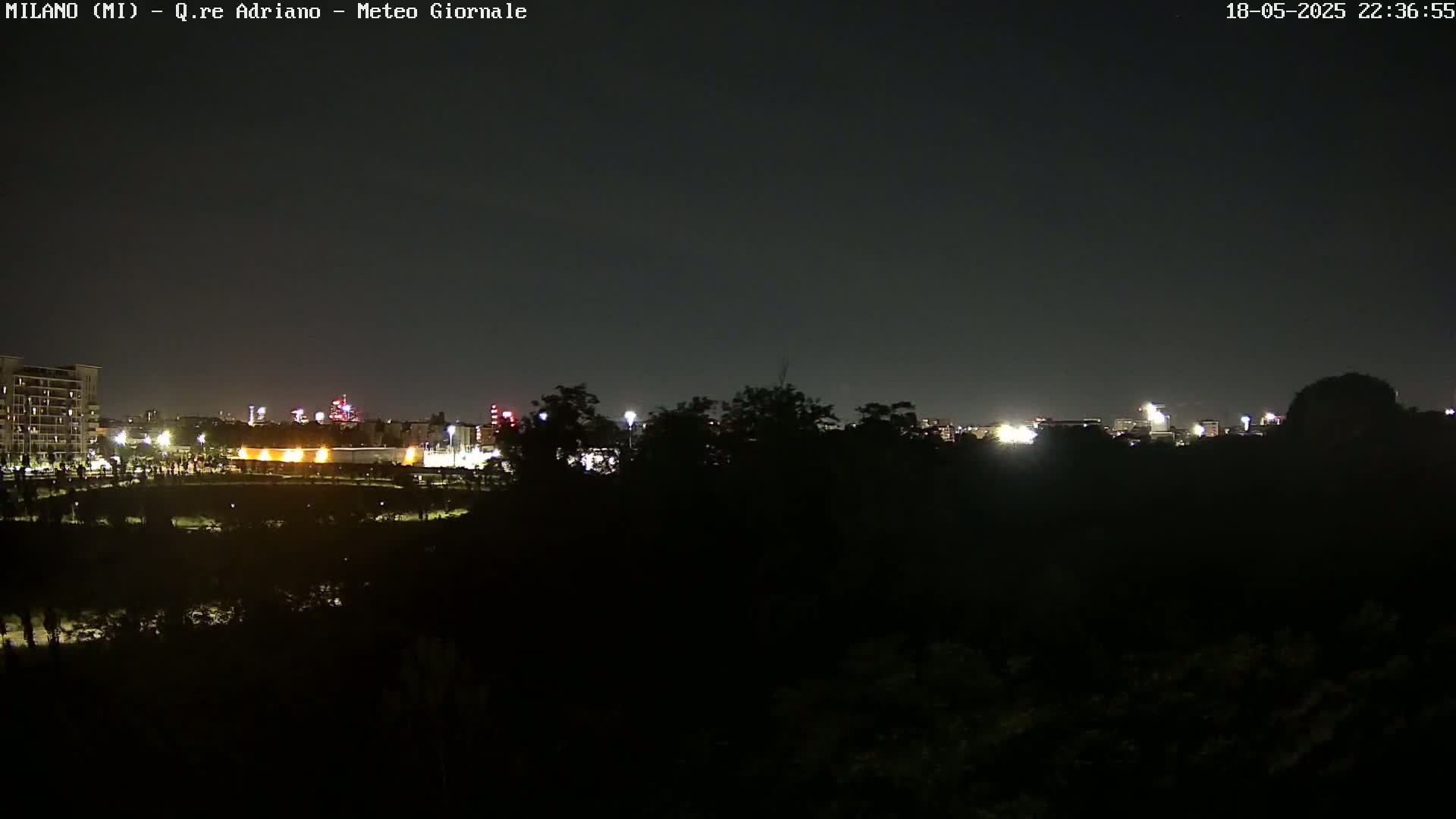 A nighttime view of a city skyline partially obscured by trees under a clear, dark sky.