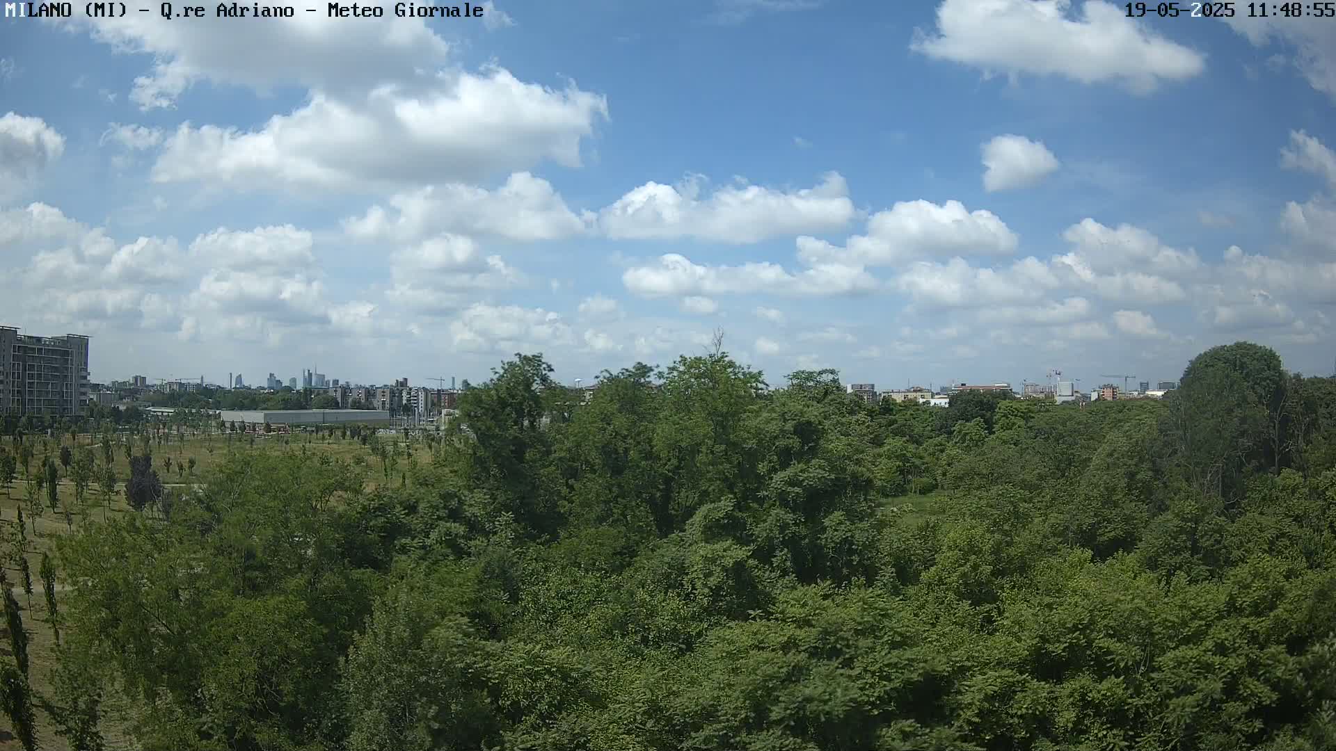 A lush green forest sits in the foreground, with a city skyline and partly cloudy skies visible in the distance.