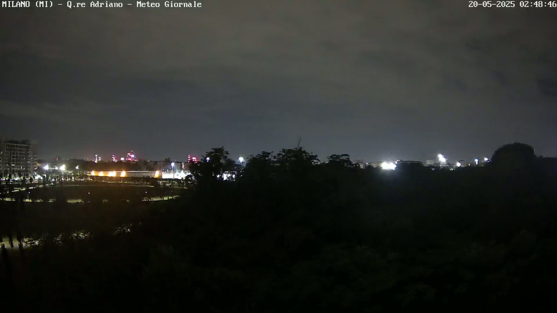 A nighttime view of a city skyline partially obscured by dark trees under a cloudy sky.