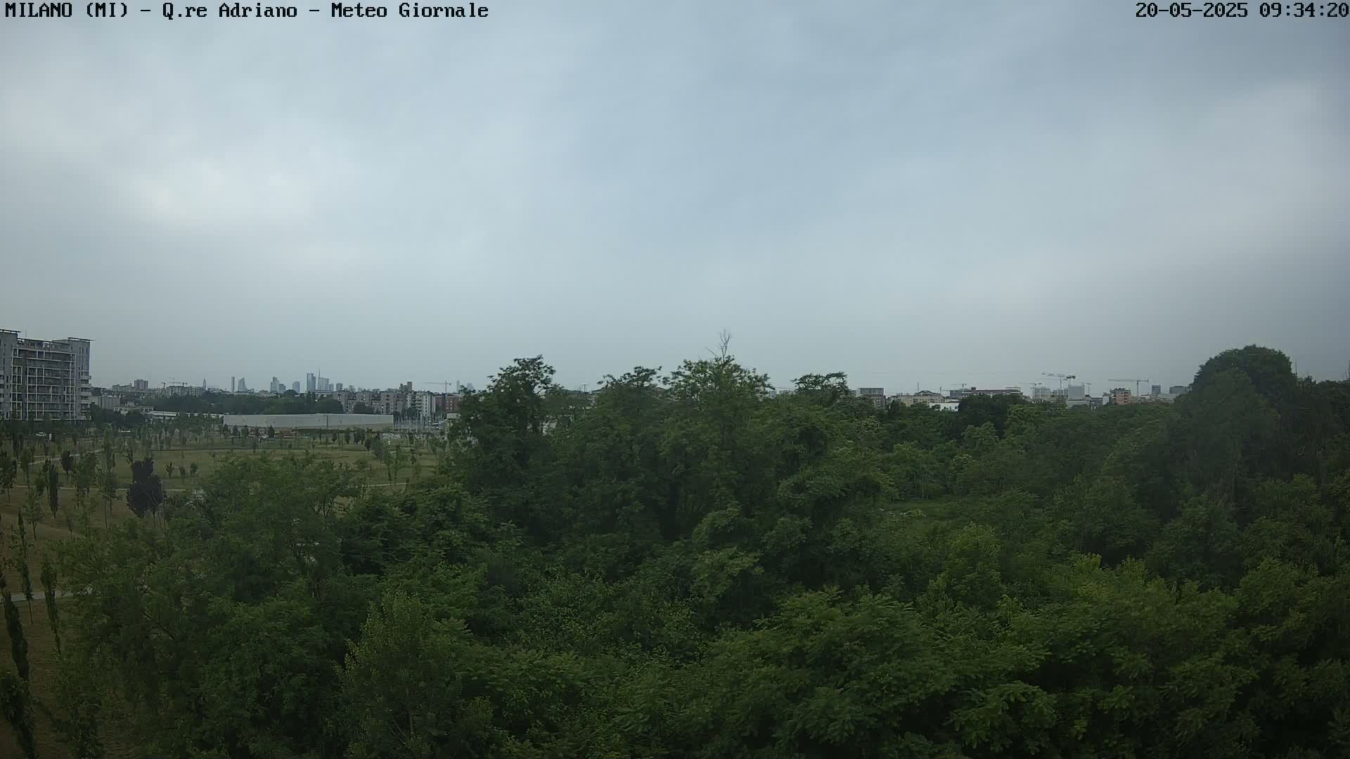A view of a lush green park with a city skyline in the distance under an overcast sky.