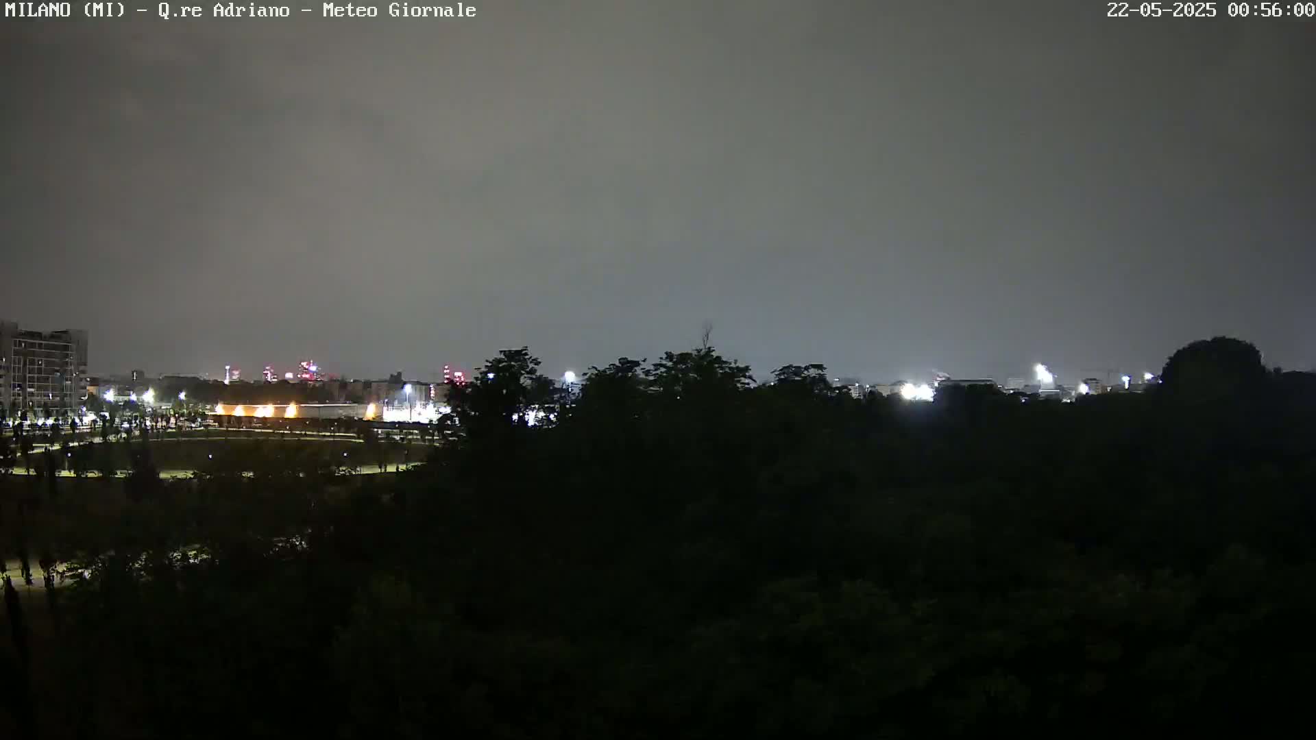 A nighttime view of a city skyline partially obscured by dark trees under a cloudy sky.