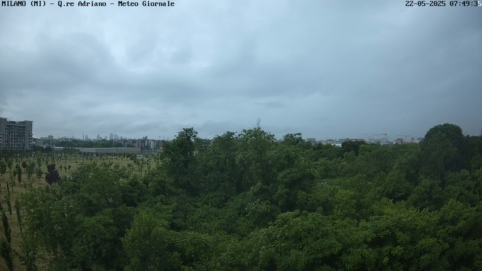 A view of a lush green park under a cloudy sky, with a cityscape visible in the distance.
