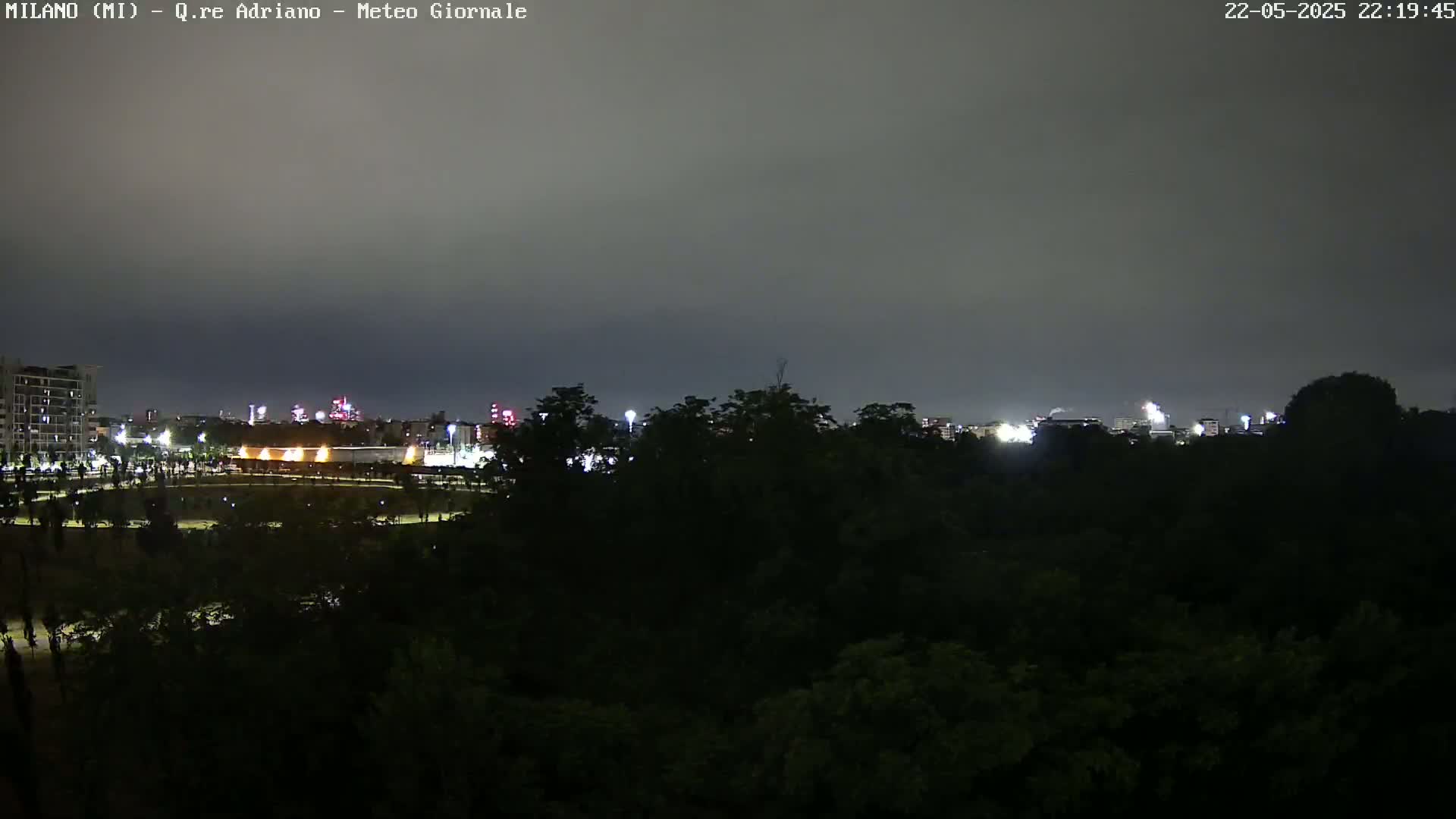 A nighttime view of a city skyline partially obscured by a dark line of trees under an overcast sky.
