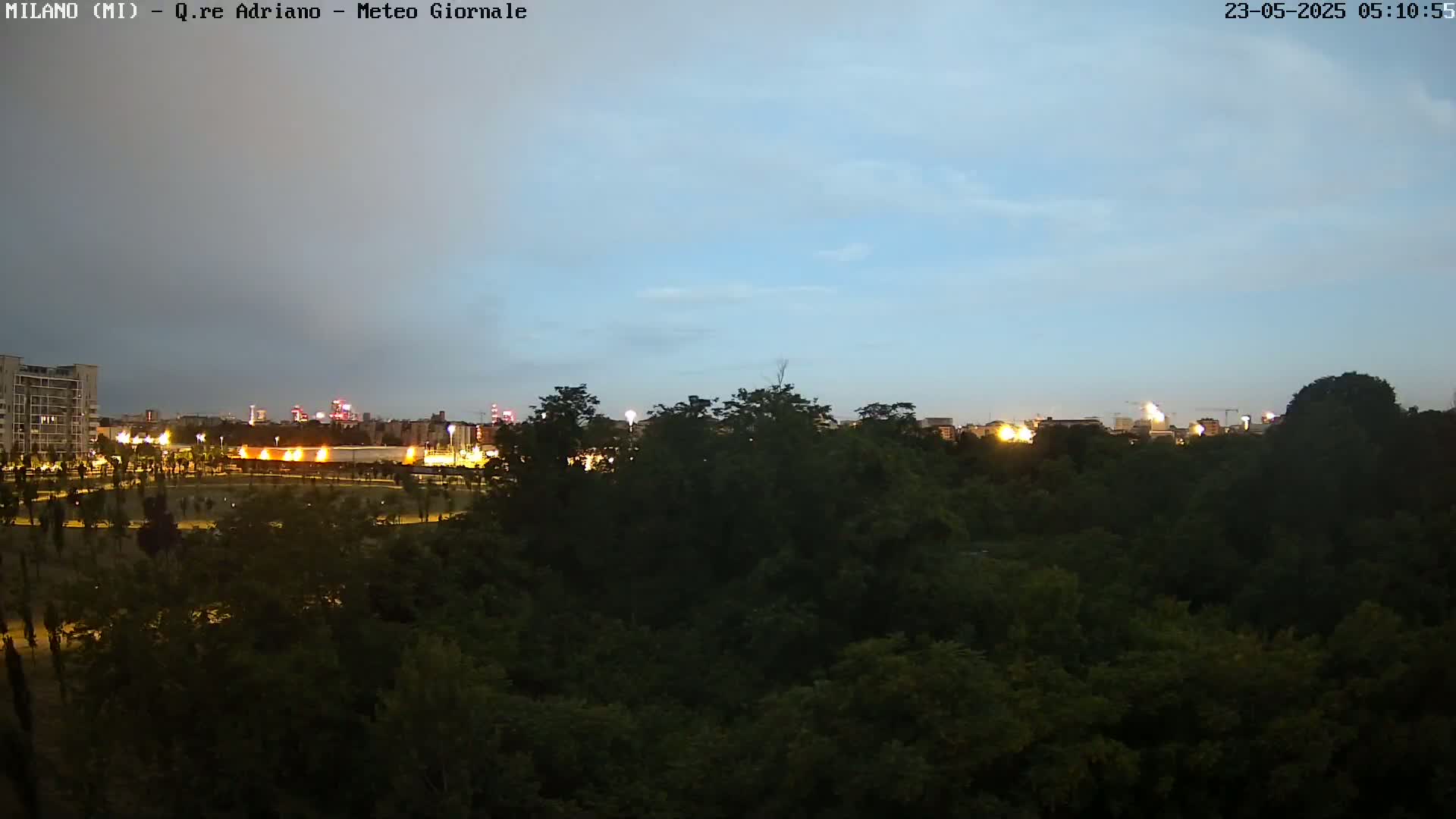 A nighttime view of a city skyline partially obscured by a dark, dense forest under a twilight sky.