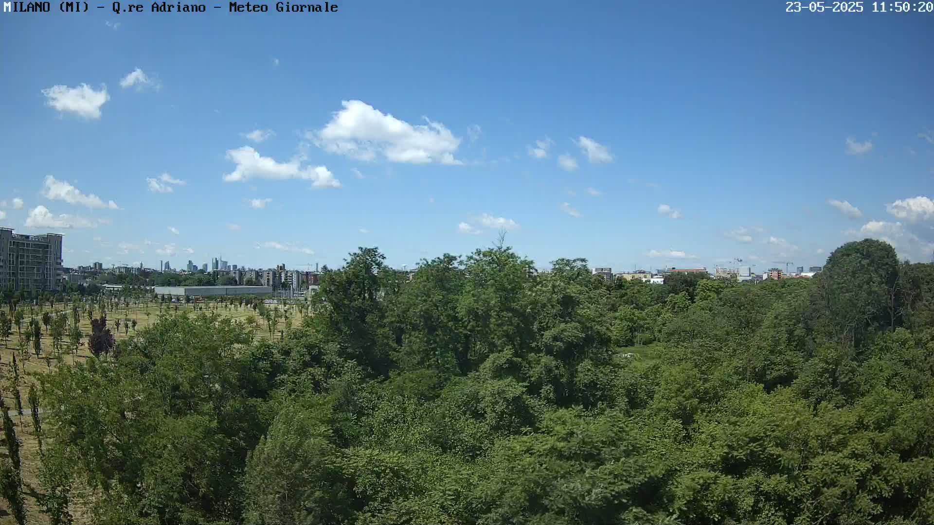 A mostly sunny sky with scattered clouds overlooks a dense green forest, beyond which lies a cityscape and a flat, grassy area.