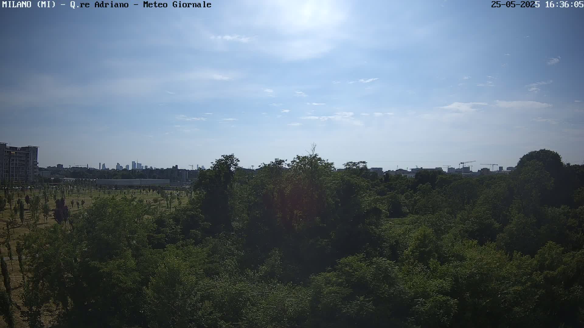 A mostly sunny sky over a dense green forest with a city skyline and buildings visible in the distance.