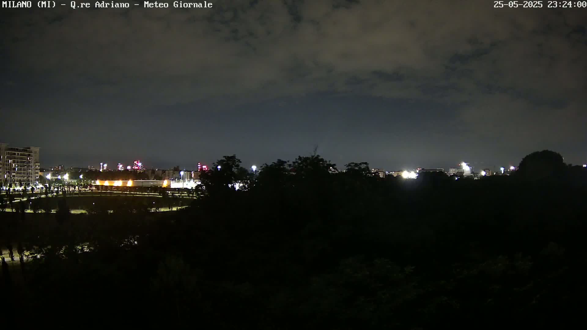 A nighttime view of a city skyline partially obscured by trees under a cloudy sky.