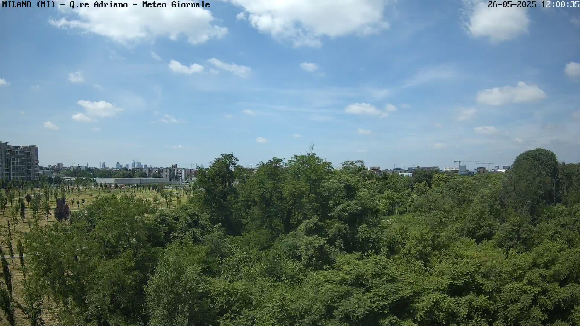A mostly sunny sky overlooks a dense green forest with a cityscape visible in the distance.