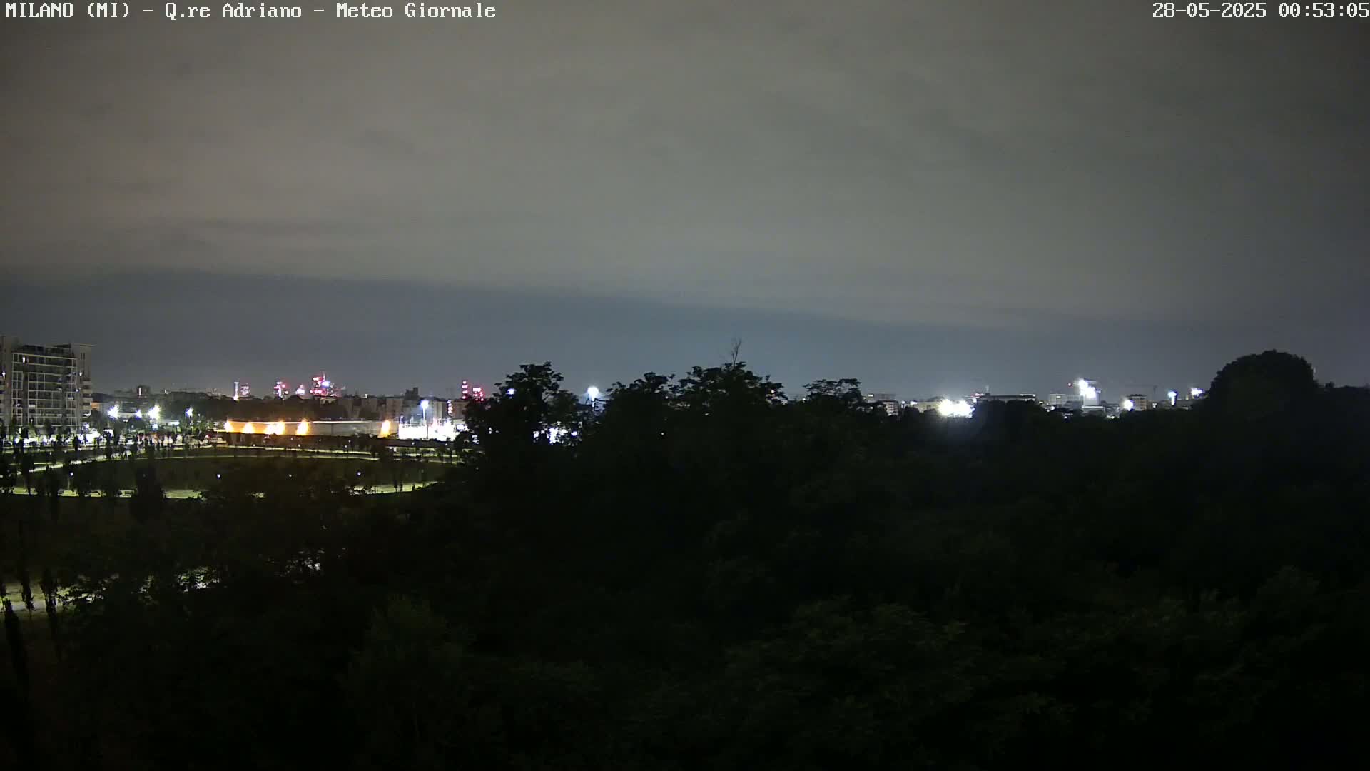 A nighttime view of a city skyline partially obscured by a dark line of trees under a cloudy sky.