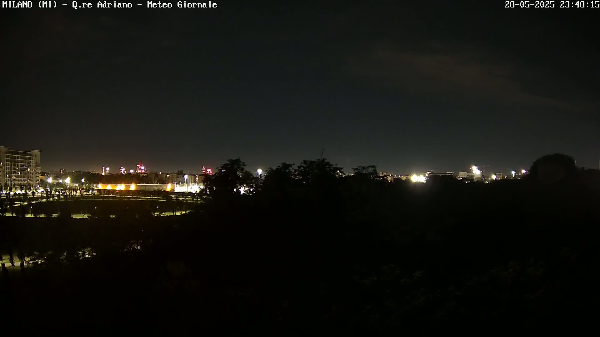 A nighttime view of a city skyline partially obscured by trees under a clear, dark sky.