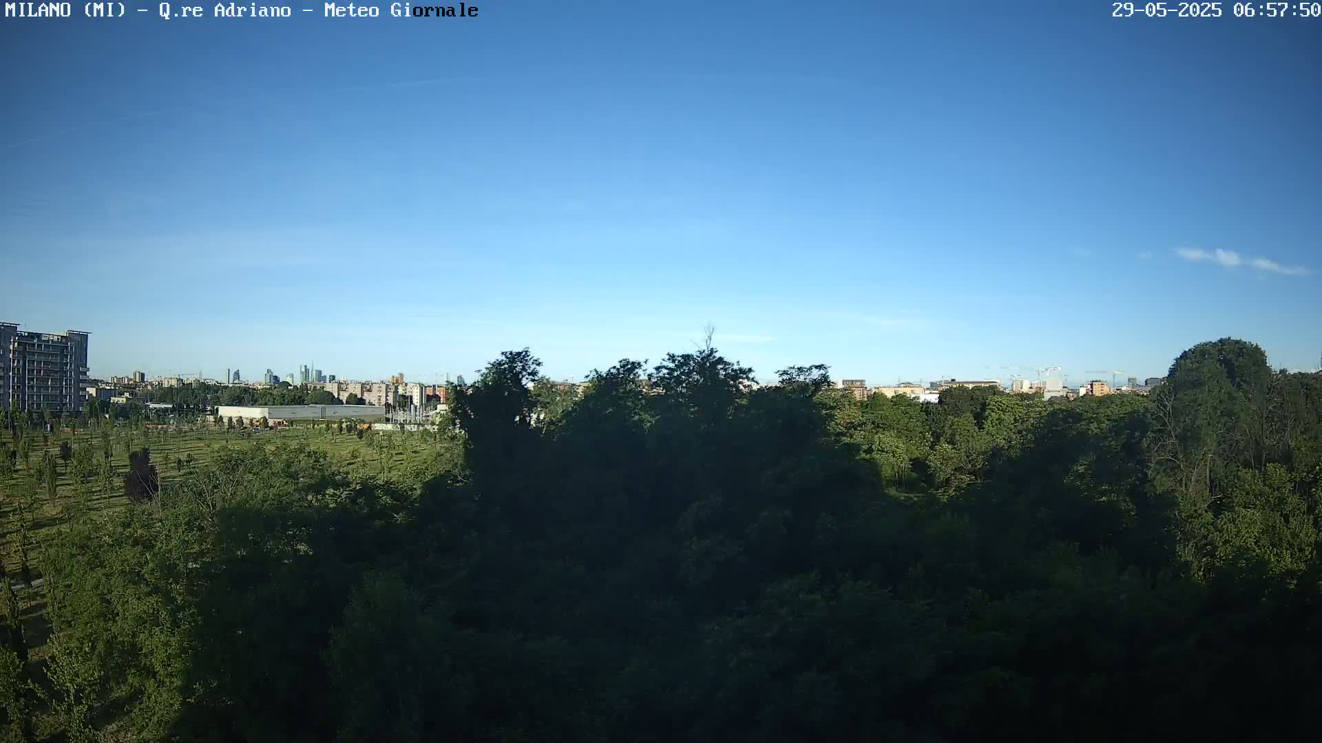 A clear blue sky overlooks a dense green forest, beyond which a city skyline is visible in the distance.
