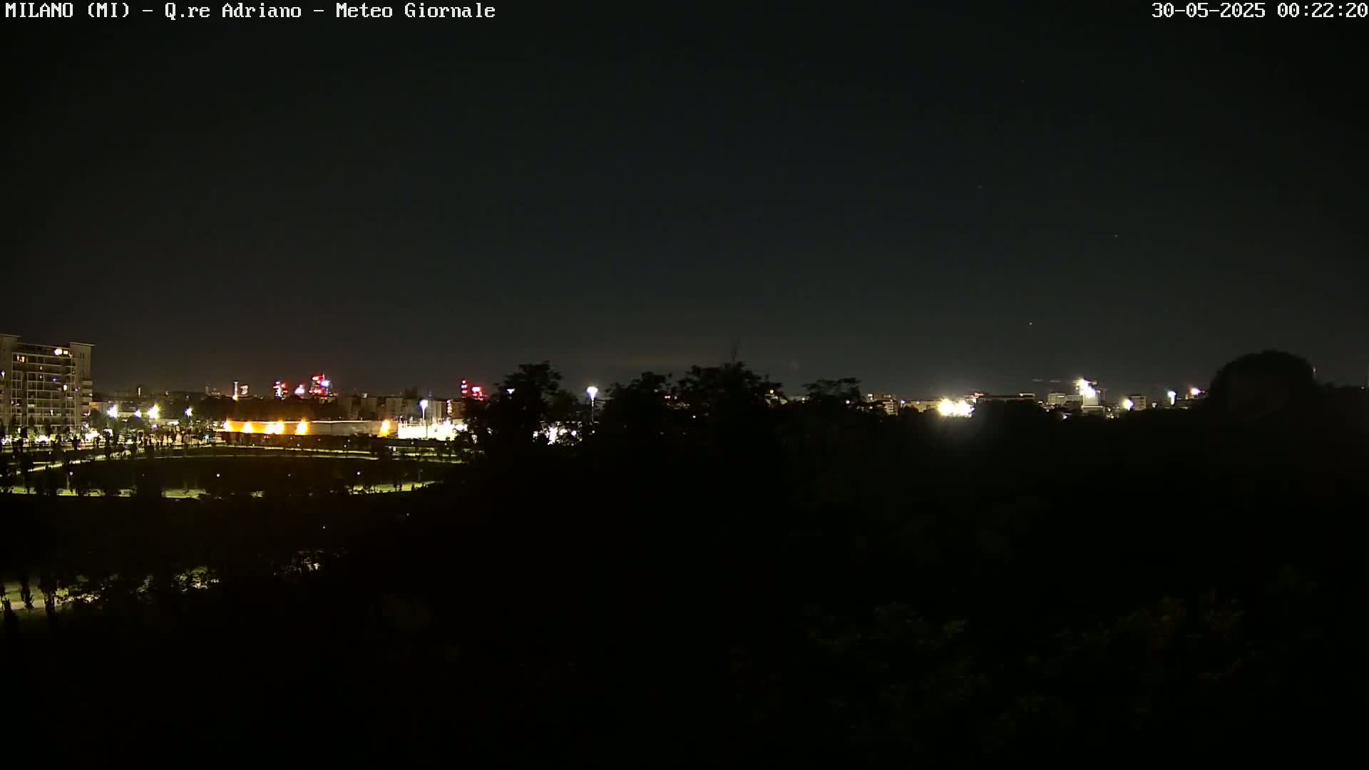 A nighttime view of a city skyline partially obscured by dark trees under a clear, starlit sky.