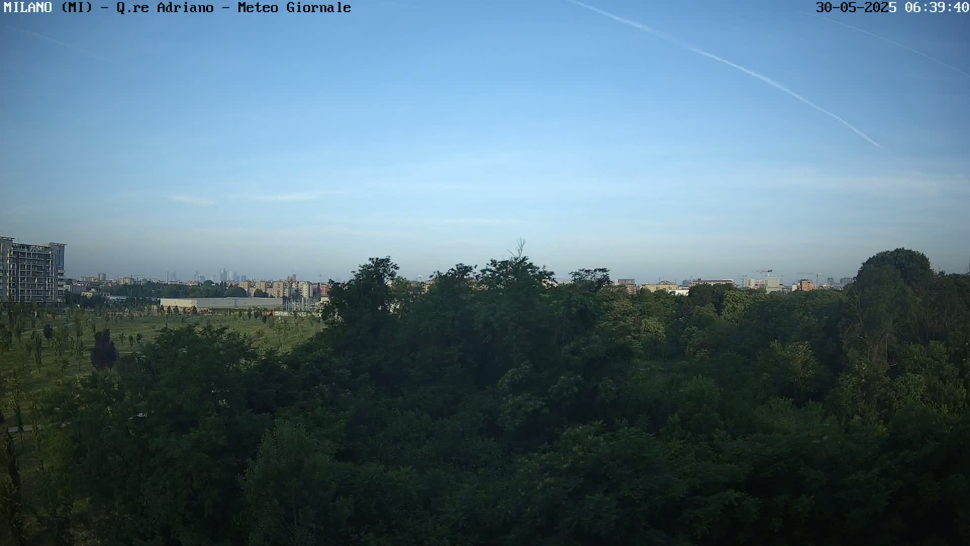 A mostly clear blue sky overlooks a dense, green forest, with a city skyline visible in the distance.
