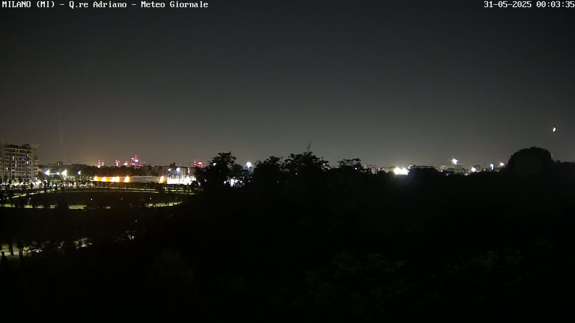 A nighttime view of a city skyline partially obscured by dark trees and a mostly clear, dark sky.