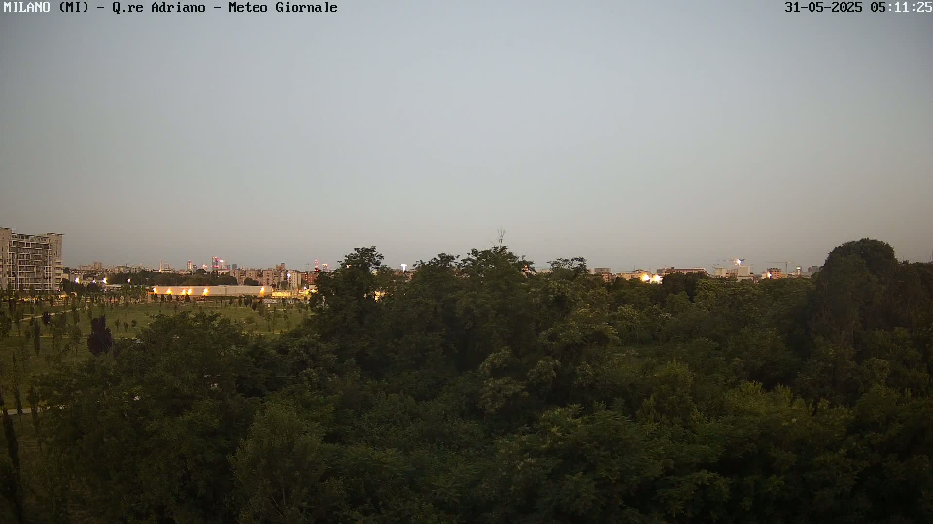 A city skyline is visible in the distance beyond a dense grove of trees under a dusky, overcast sky.
