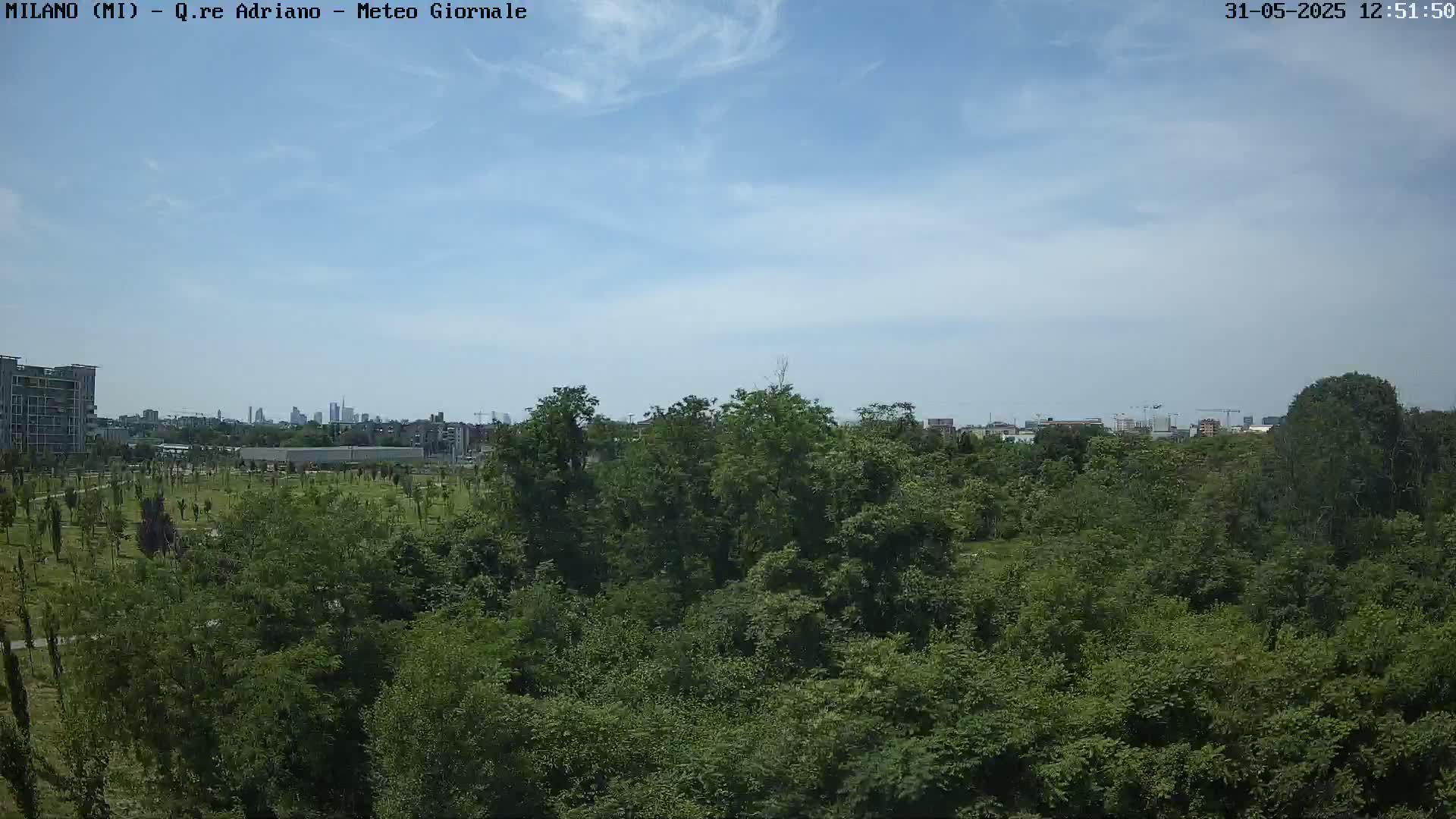 A mostly sunny sky overlooks a lush green park with a city skyline visible in the distance.