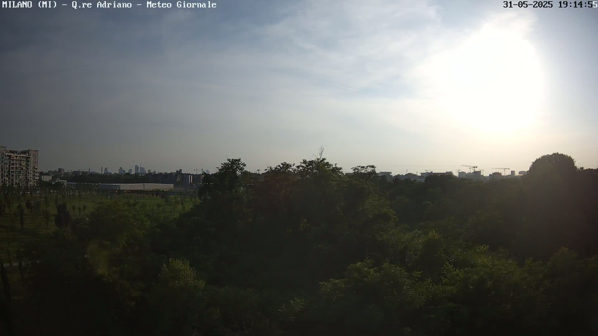 A partly sunny day reveals a cityscape in the distance, partially obscured by a dense, leafy green foreground.