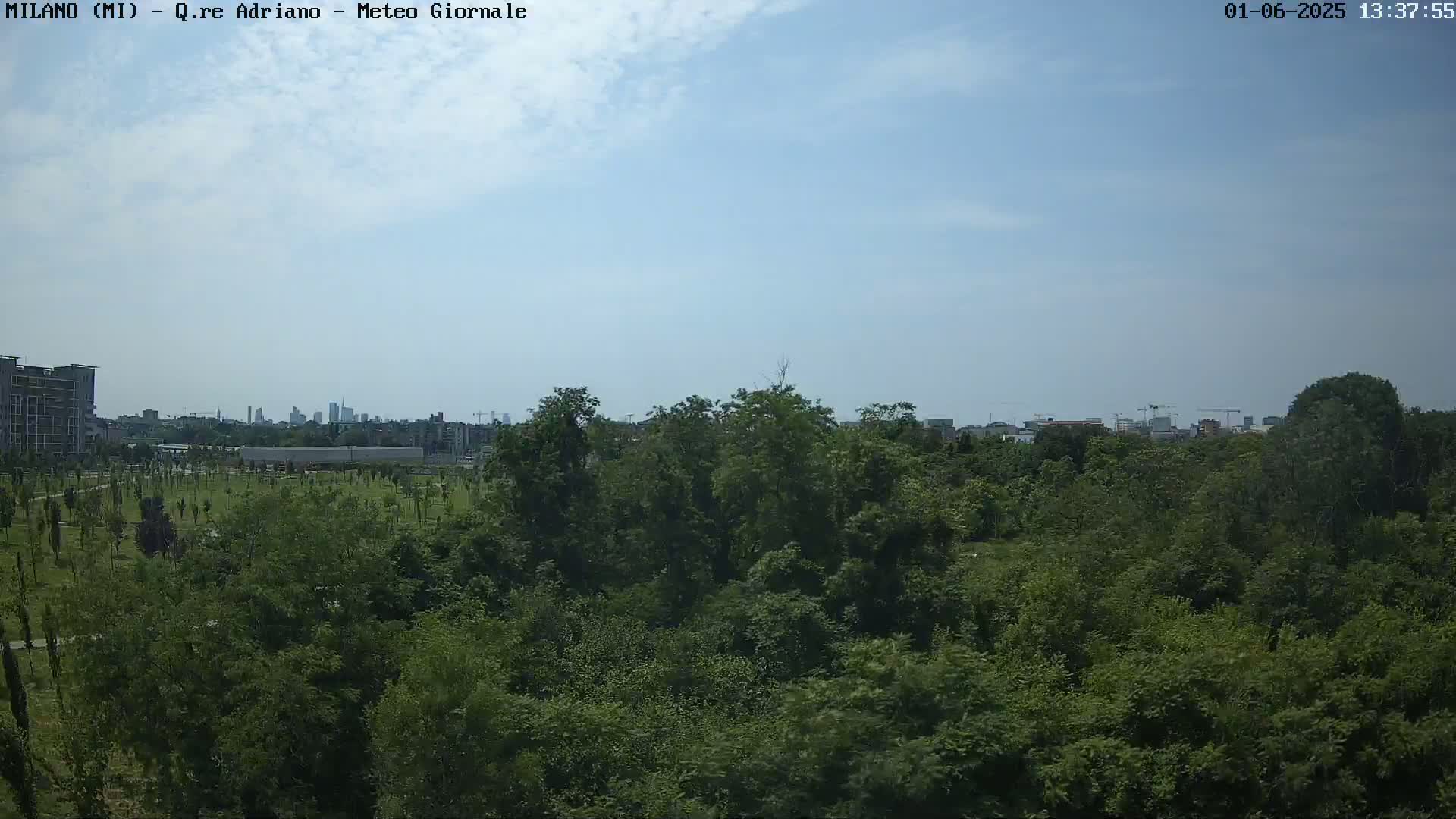 A mostly sunny day reveals a lush green park with a cityscape visible in the distance.
