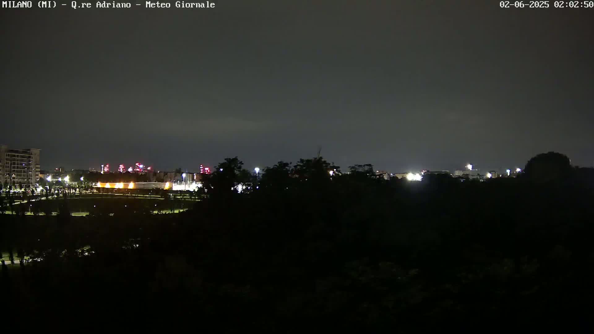 A nighttime view of a city skyline partially obscured by dark trees under a cloudy sky.