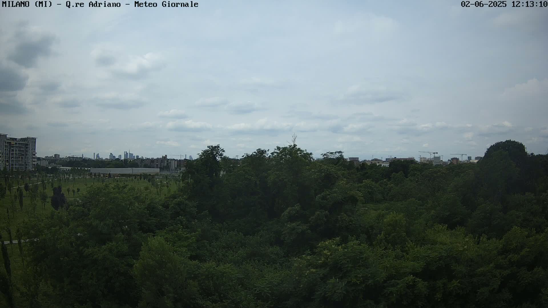 A view of a lush green park with a cityscape and a partly cloudy sky in the distance.