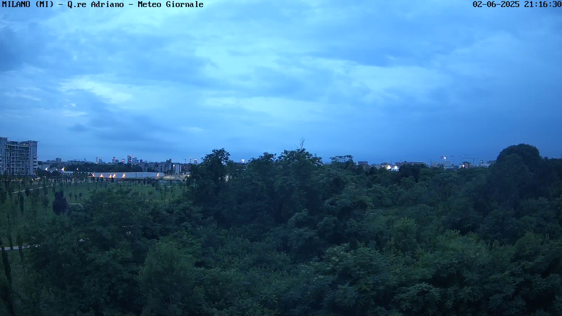A view of a city skyline at twilight, partially obscured by a dense line of green trees under a mostly clear, dusky blue sky.