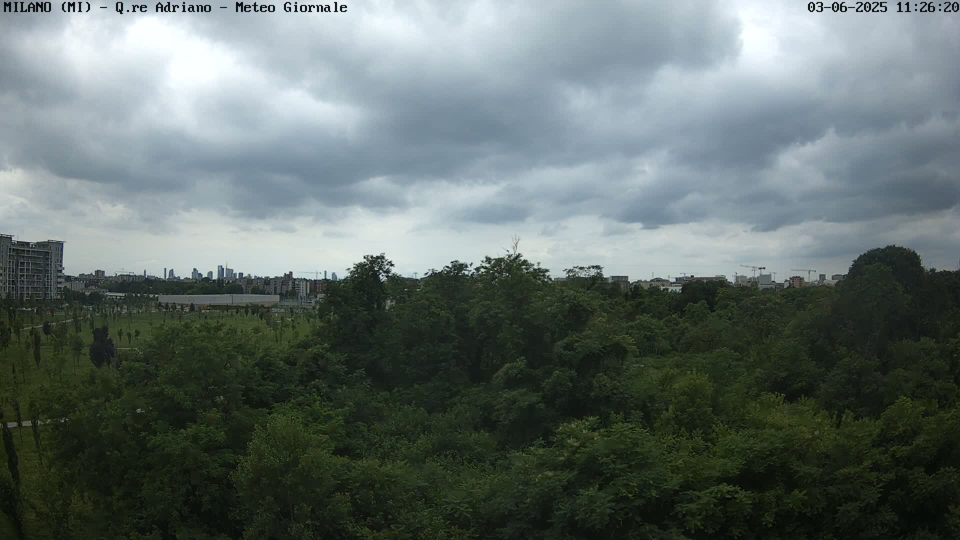 A lush green forest sits before a cityscape under a cloudy sky.