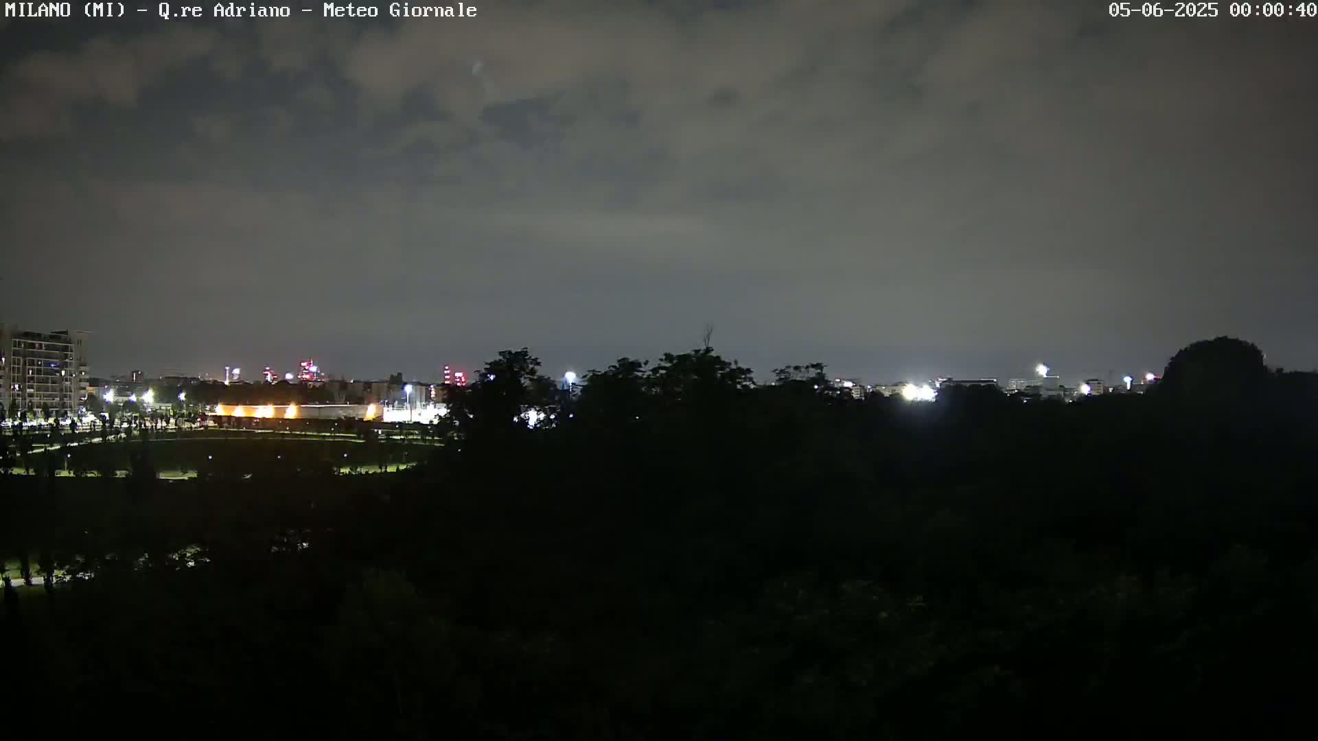 A nighttime view of a city skyline partially obscured by trees under a cloudy sky.