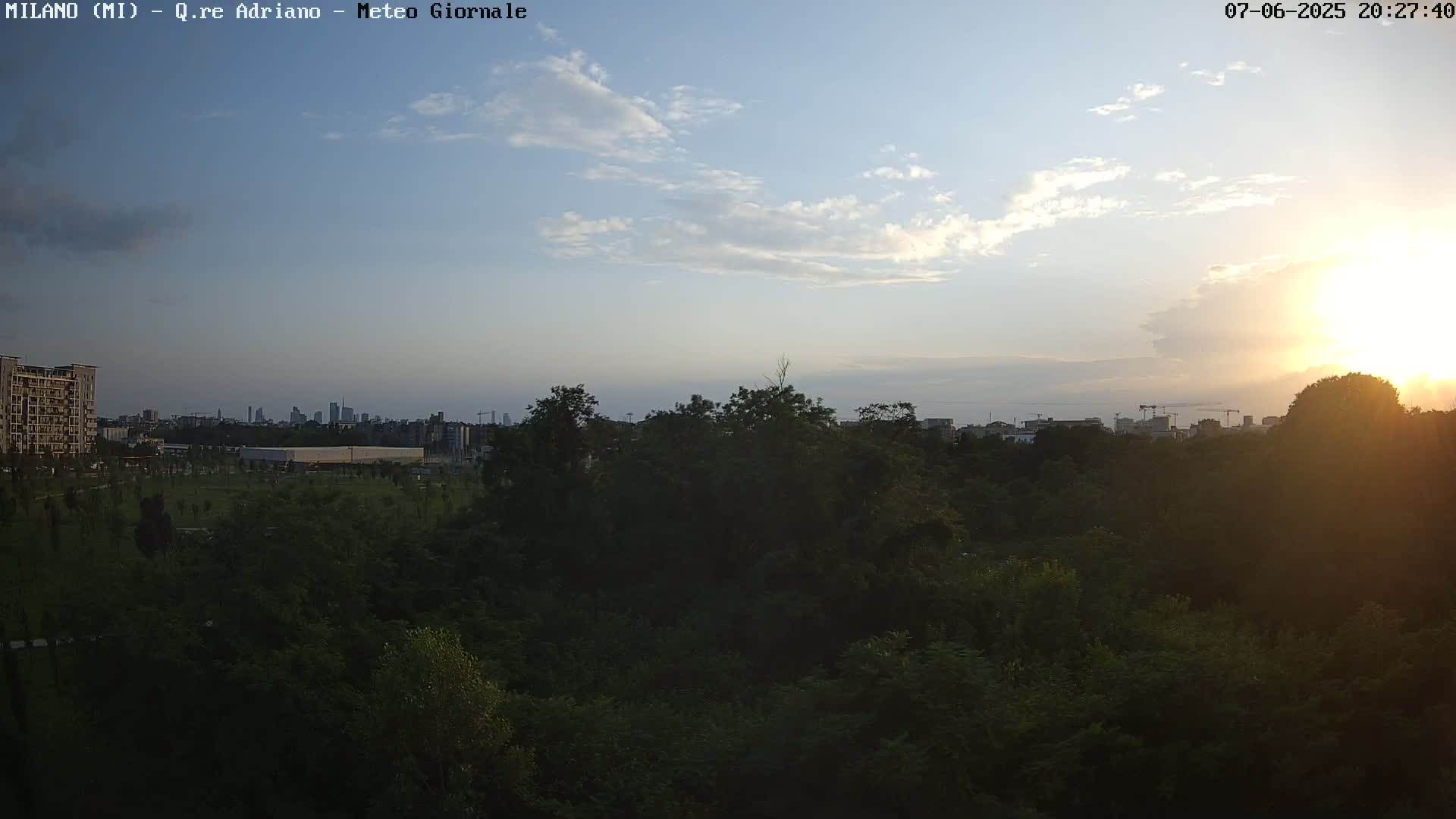 A mostly clear sunset illuminates a cityscape visible beyond a dense, green grove.