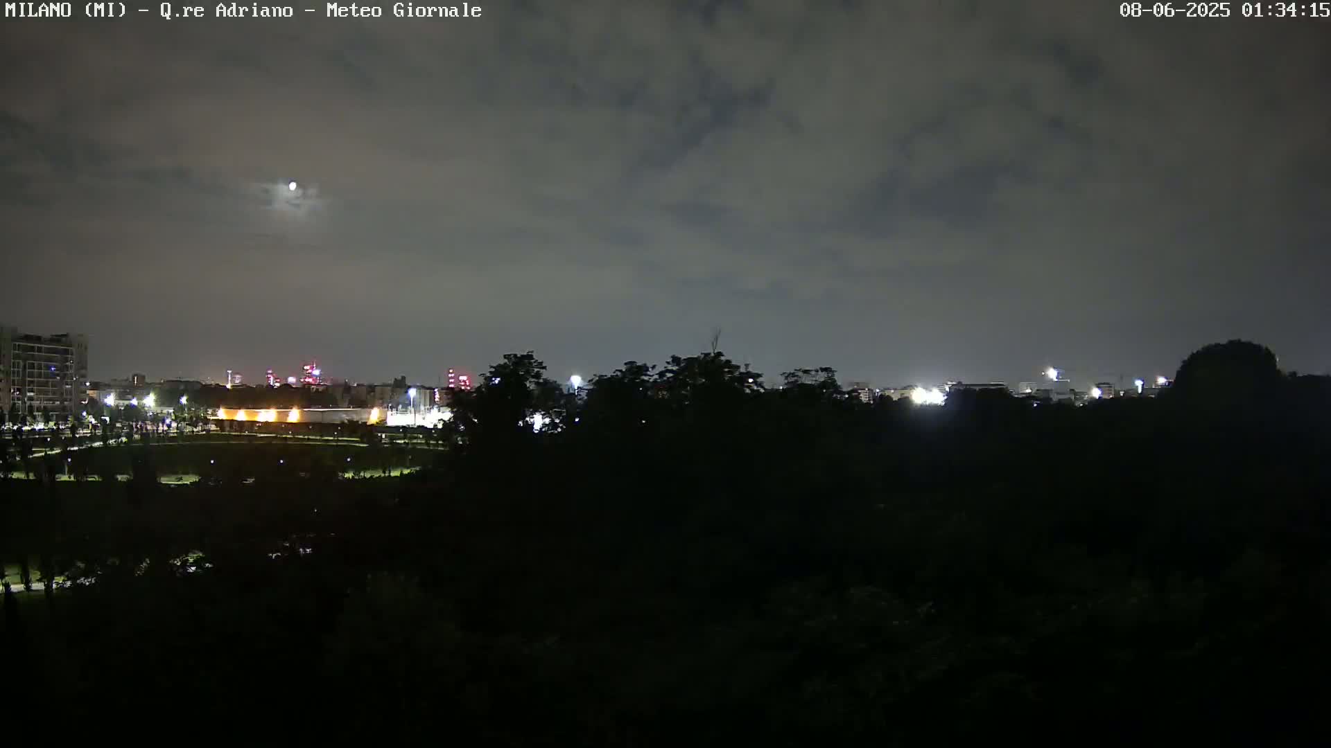 A nighttime view of a city skyline partially obscured by trees under a cloudy sky with a bright moon visible.