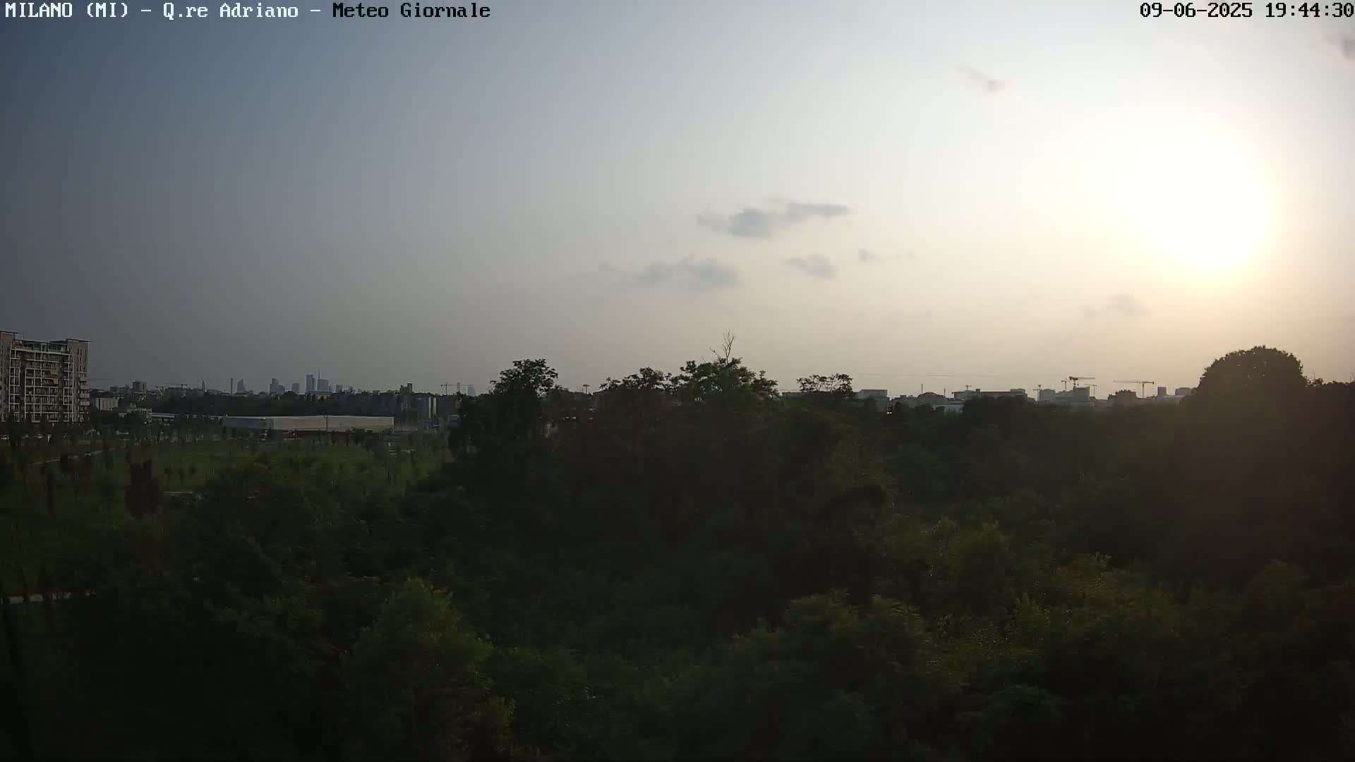A mostly clear sunset illuminates a cityscape beyond a dense, dark green forest.