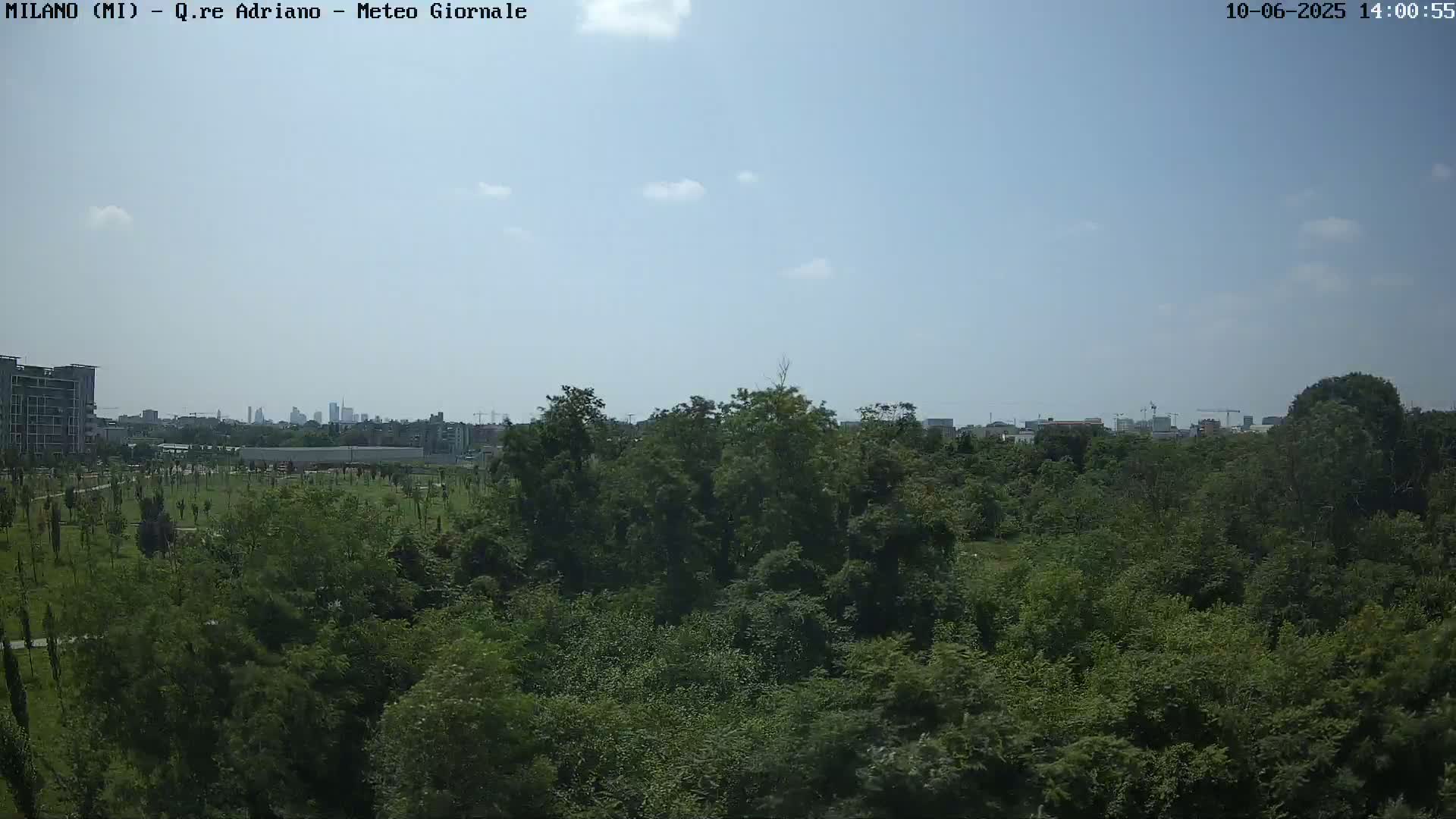 A mostly sunny day reveals a dense, green expanse of trees and vegetation, with a city skyline visible in the distance.