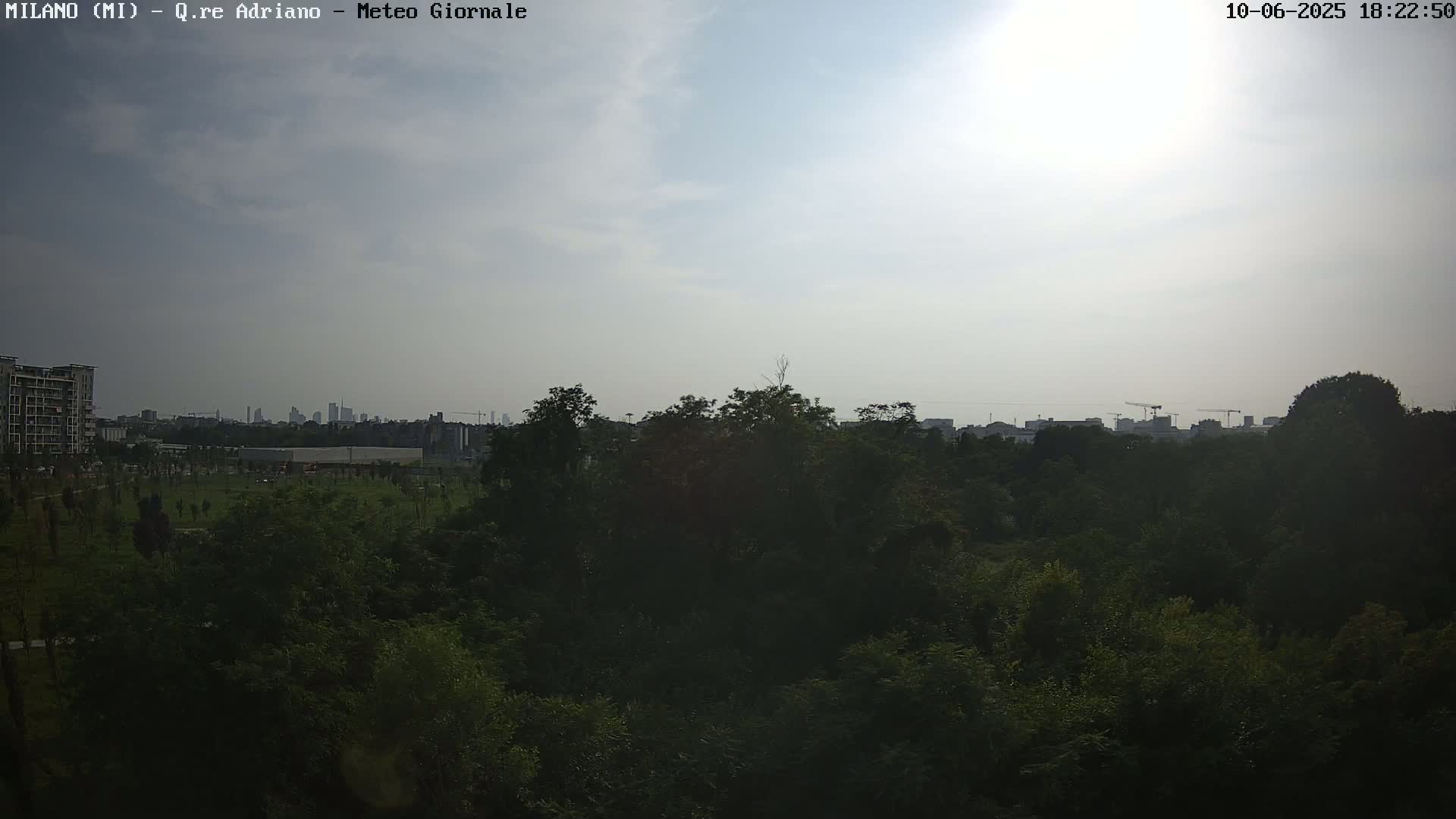 A hazy sun shines over a dense green tree line, with a distant cityscape visible in the background.