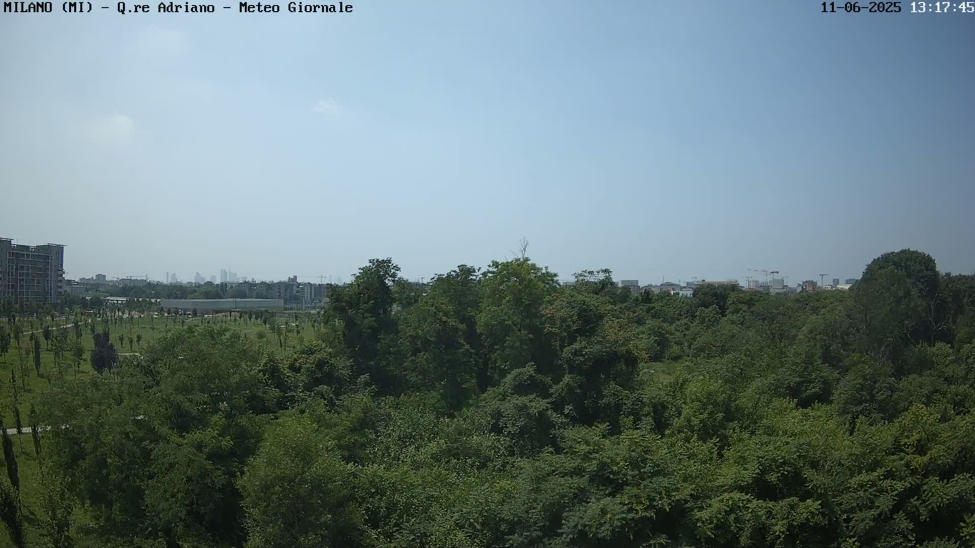 A lush green park with a distant cityscape under a clear, bright sky.