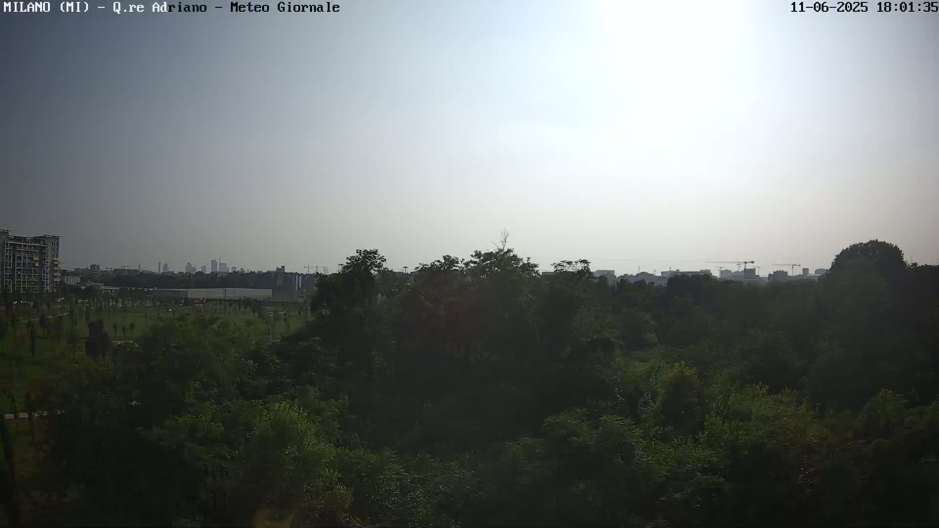 A hazy, sunny day reveals a view of a park filled with lush green trees, beyond which a city skyline is visible in the distance.