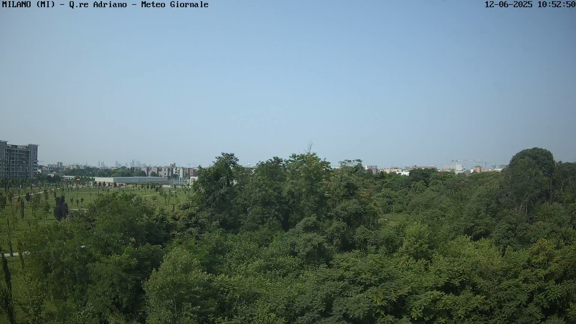 A lush green park with a distant cityscape under a clear blue sky.