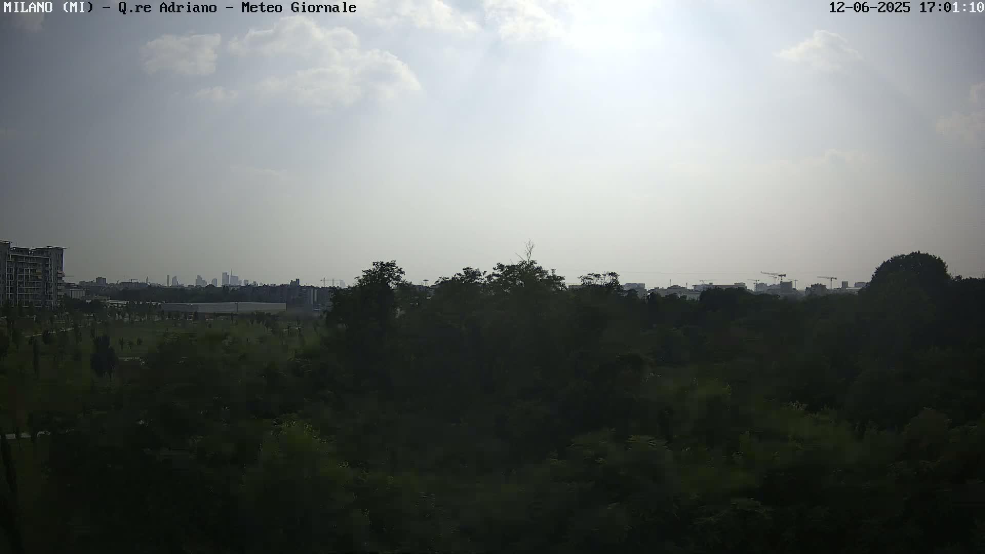 A mostly sunny day reveals a view of a park filled with dark green trees and shrubs, behind which a city skyline and some buildings under construction are visible in the distance.