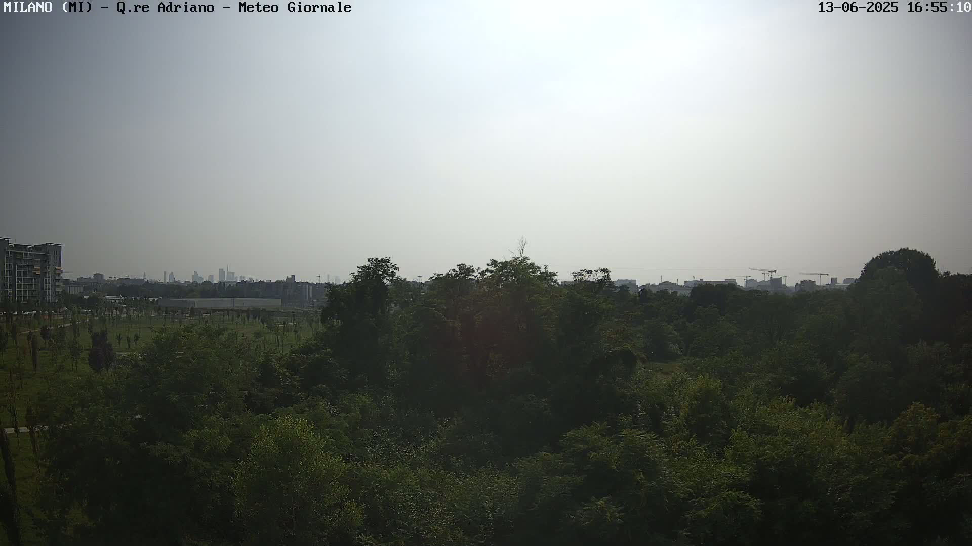 A hazy, light-filled view of a tree-covered park, with a distant cityscape visible in the background.