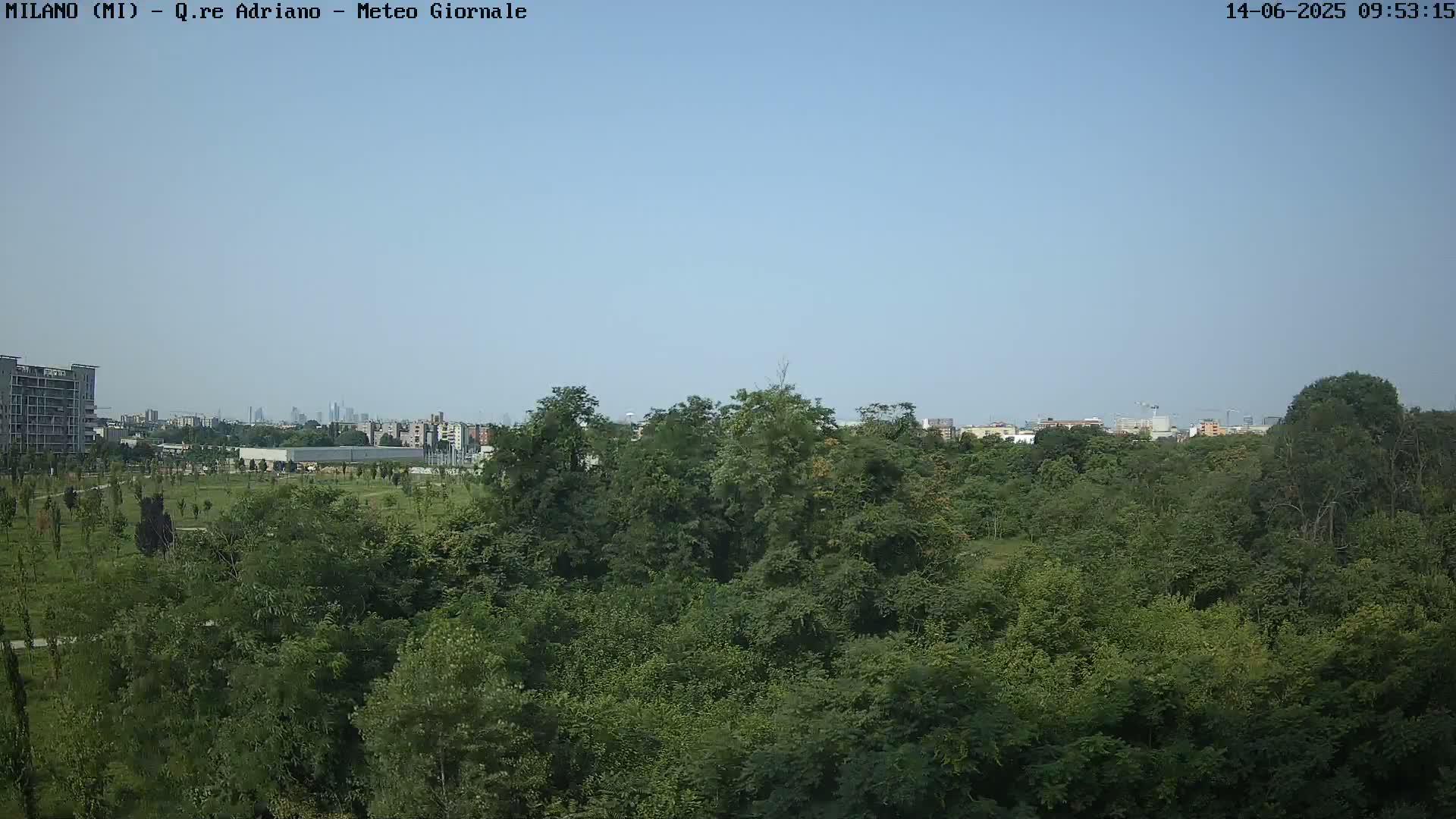 A lush green expanse of trees and parkland stretches out before a distant cityscape under a clear, light blue sky.