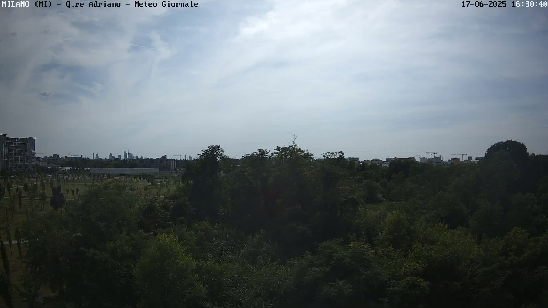 A view of a lush green park with a distant cityscape under a mostly cloudy sky.