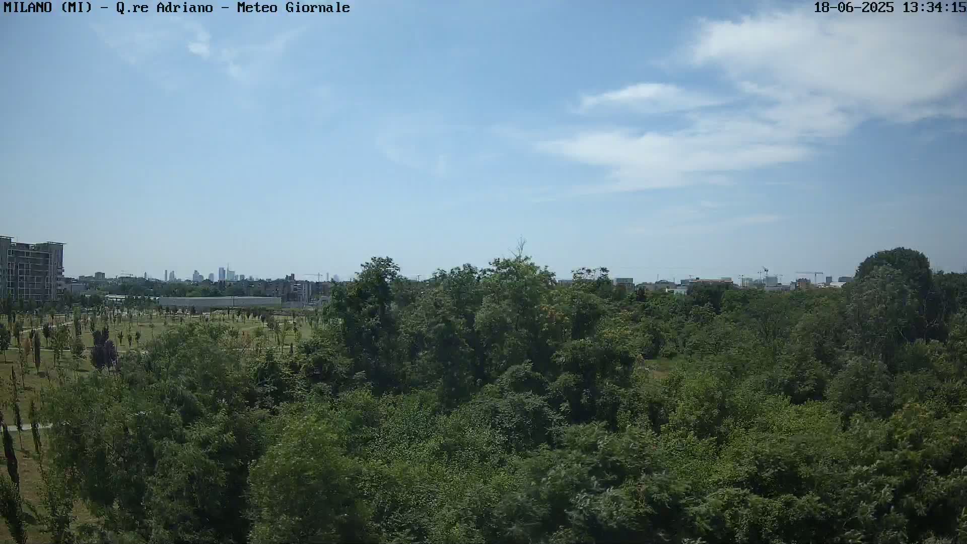 A mostly sunny day reveals a cityscape in the distance, beyond a dense green park and several buildings.