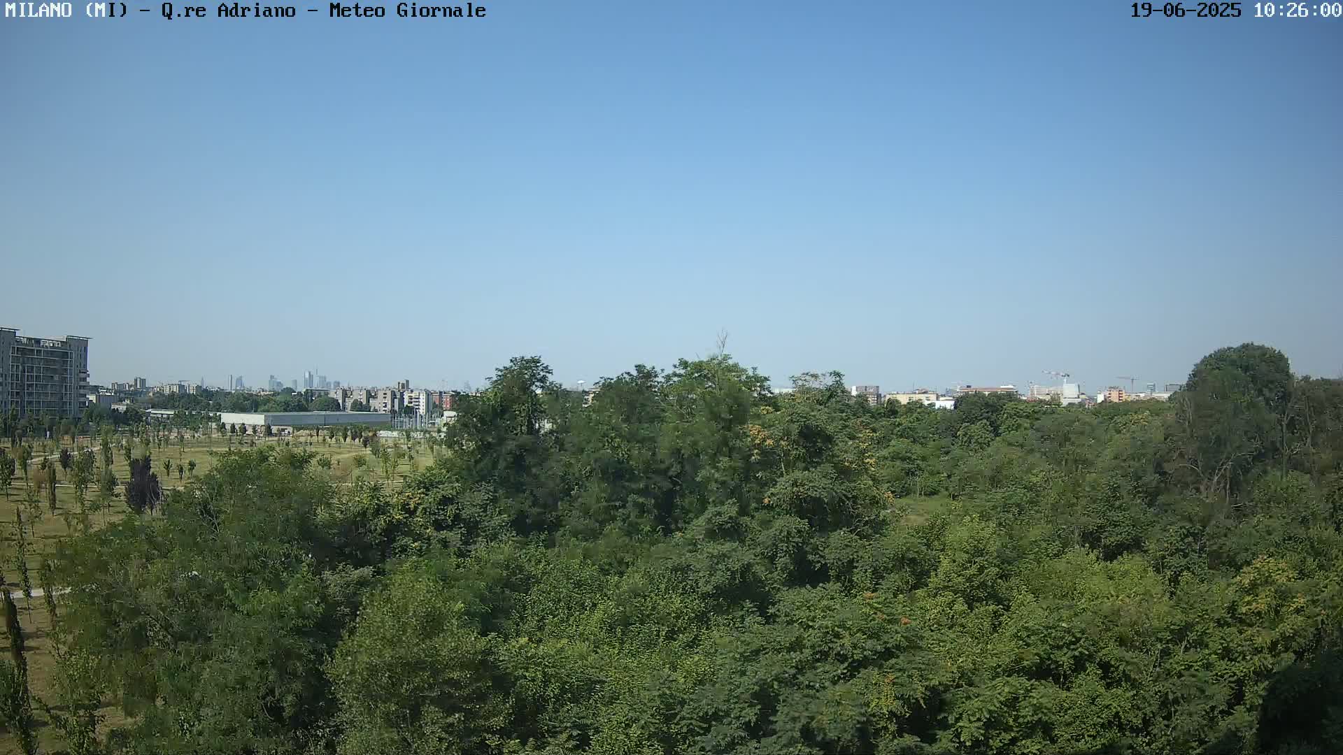 A lush green park, under a clear blue sky, stretches towards a distant city skyline.