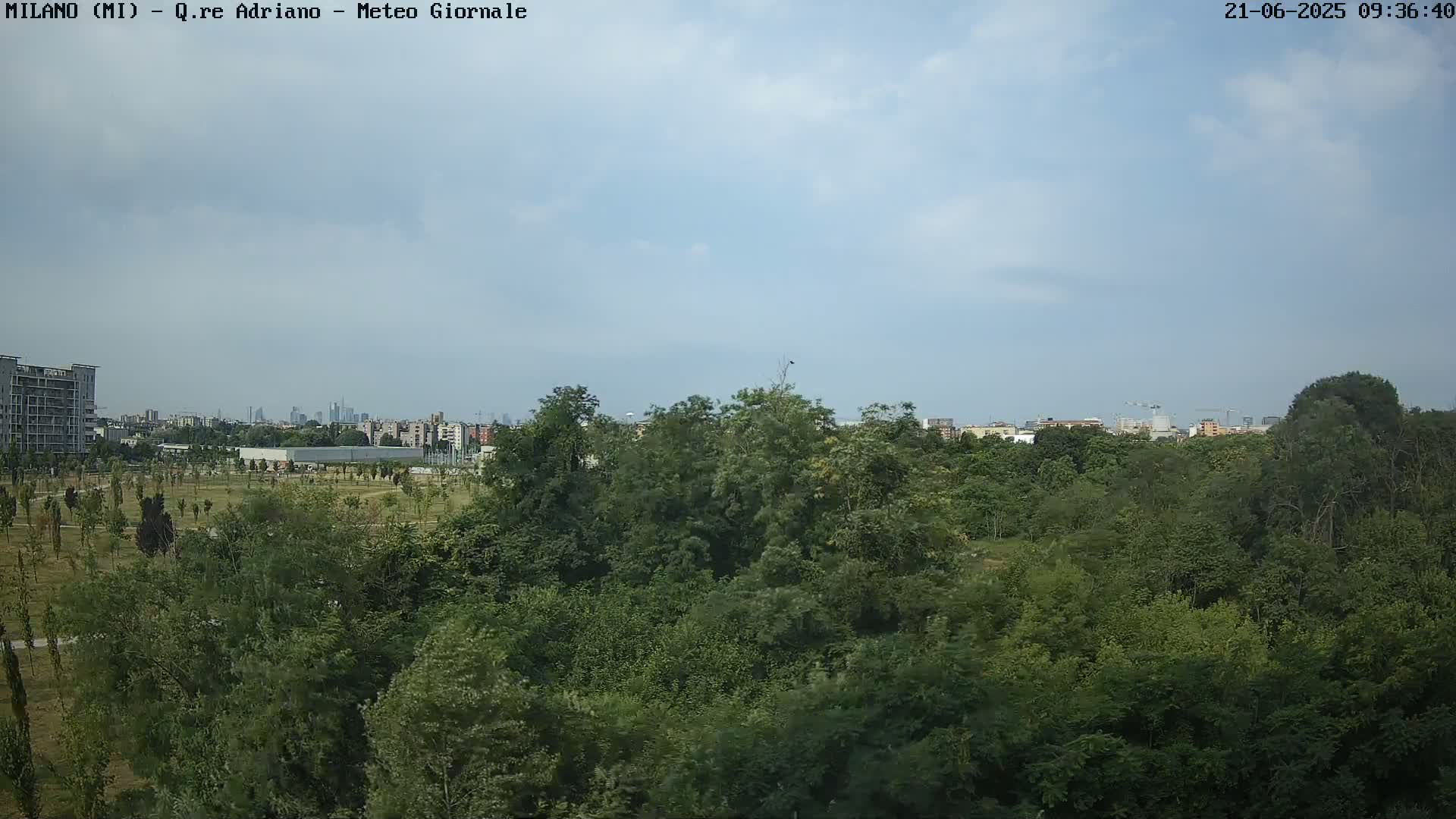 A mostly sunny day shows a dense green forest in the foreground with a city skyline visible in the distance.