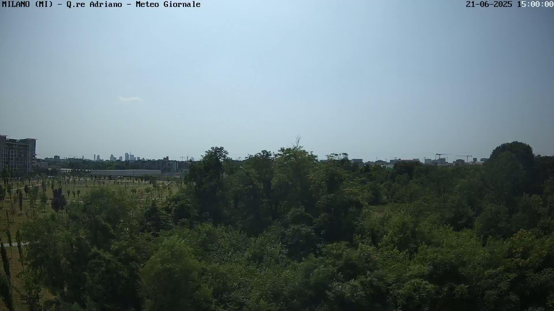 A mostly sunny day shows a dense green forest in the foreground with a cityscape and buildings visible in the distance.