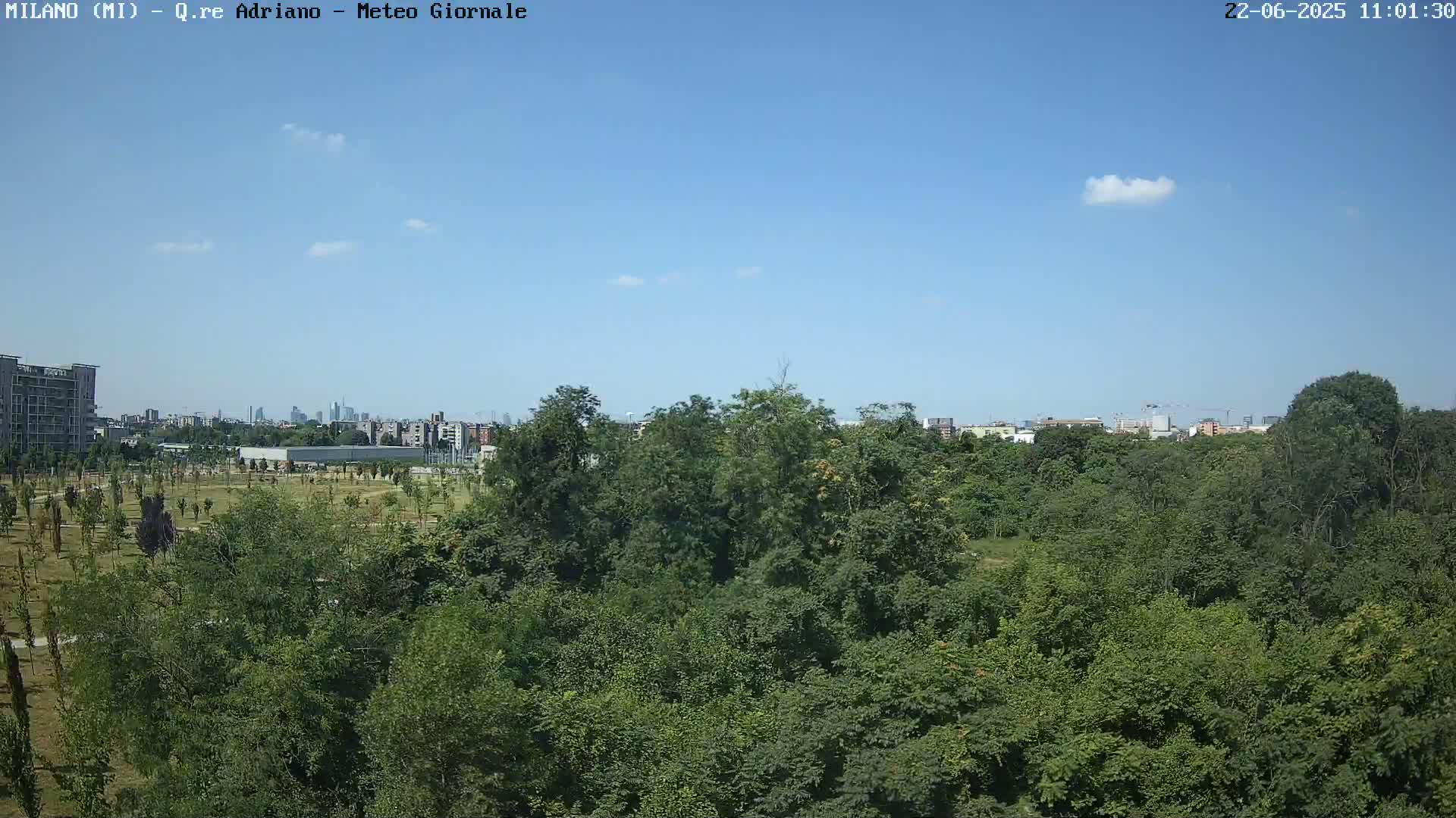 A lush green park with a cityscape in the distance under a mostly clear blue sky.